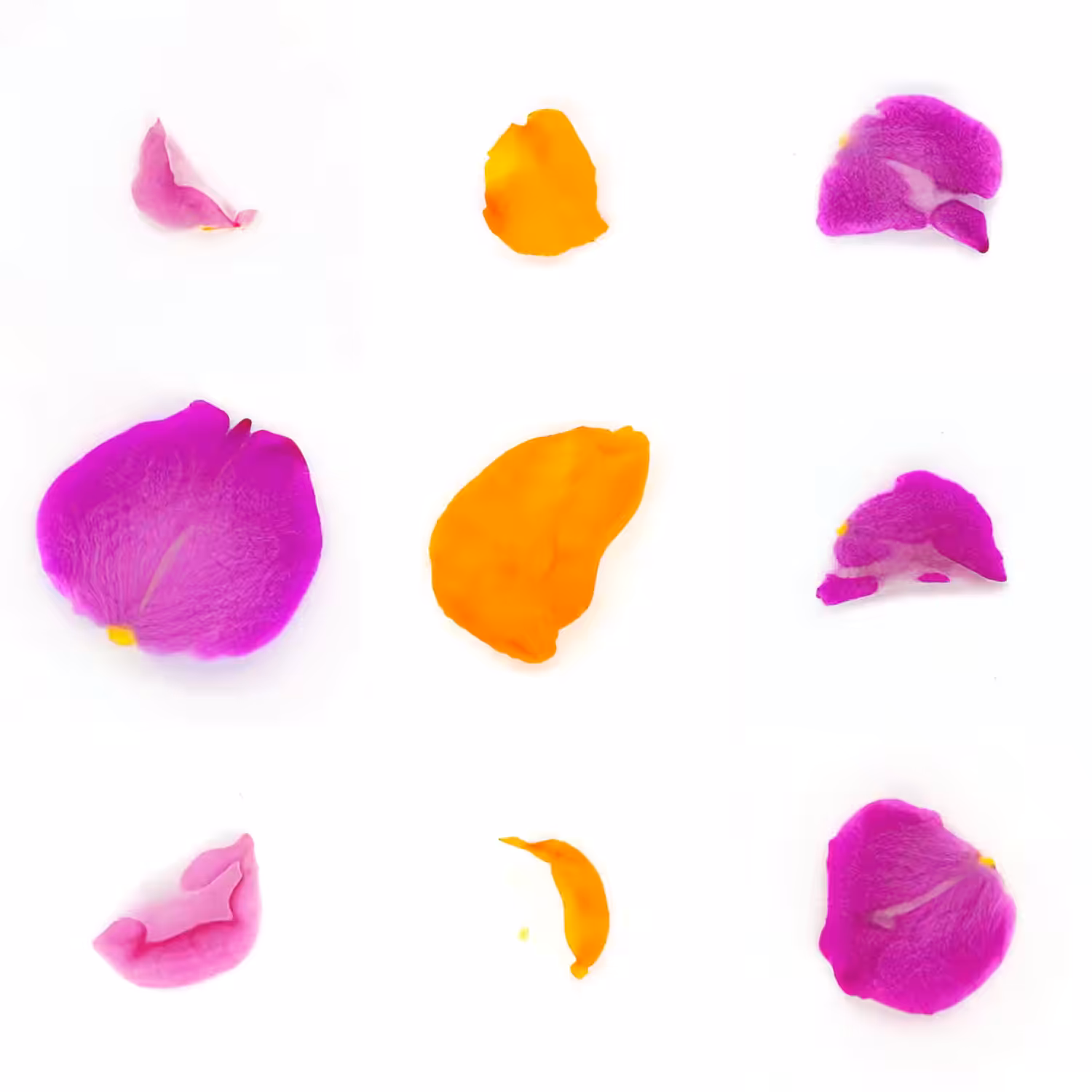 Infinite Petals 3x3#3449