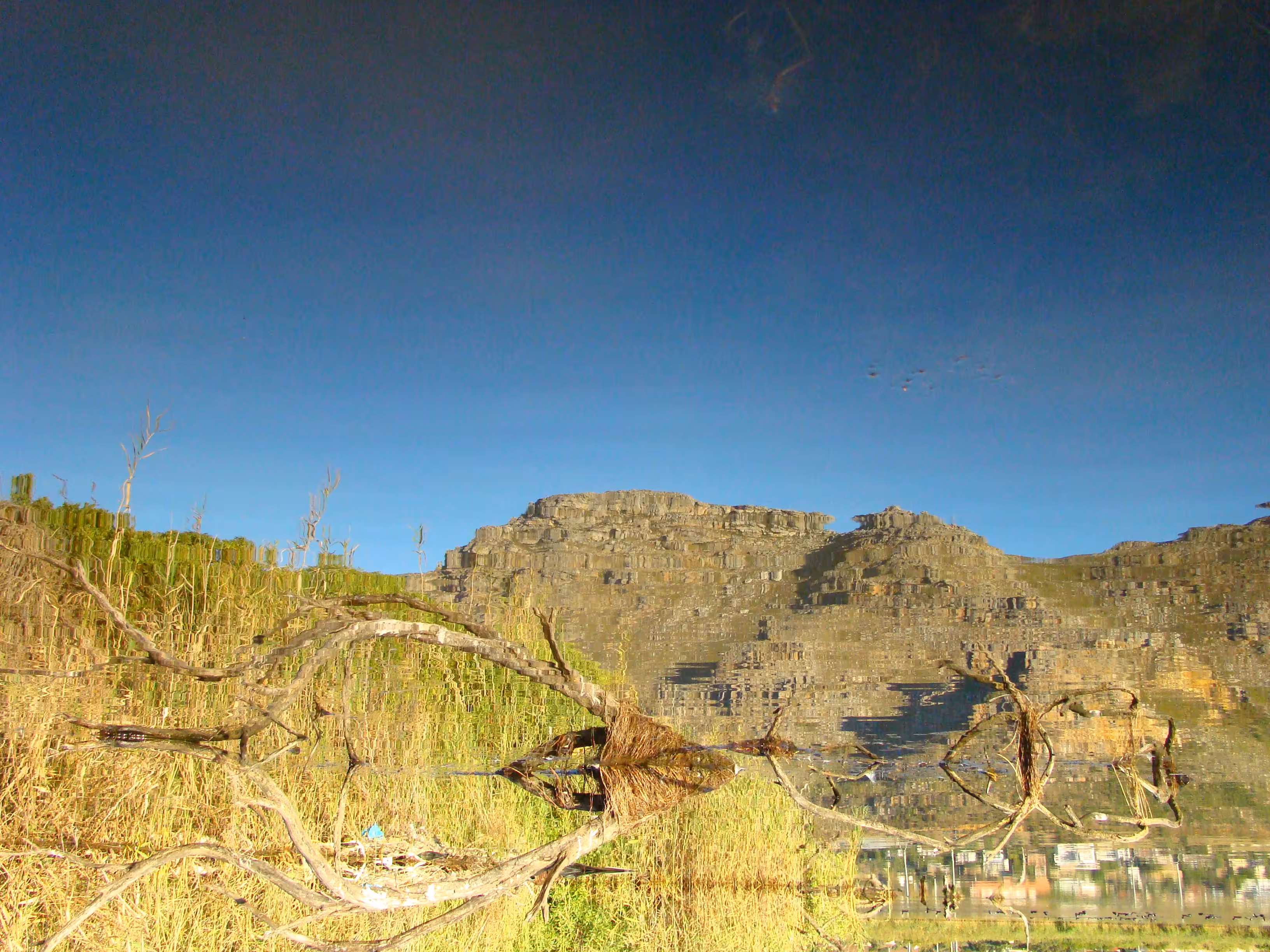 Reflection
