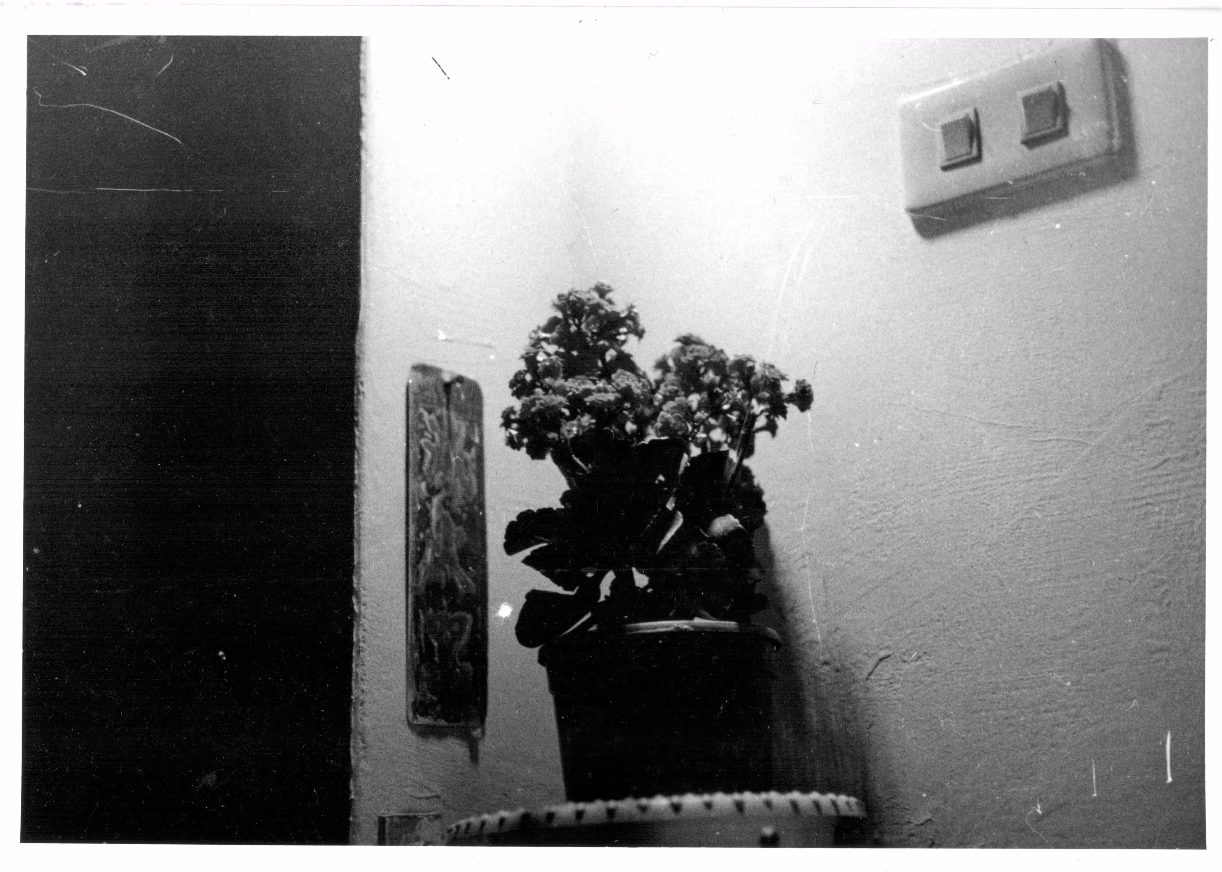Darkroom practices #06