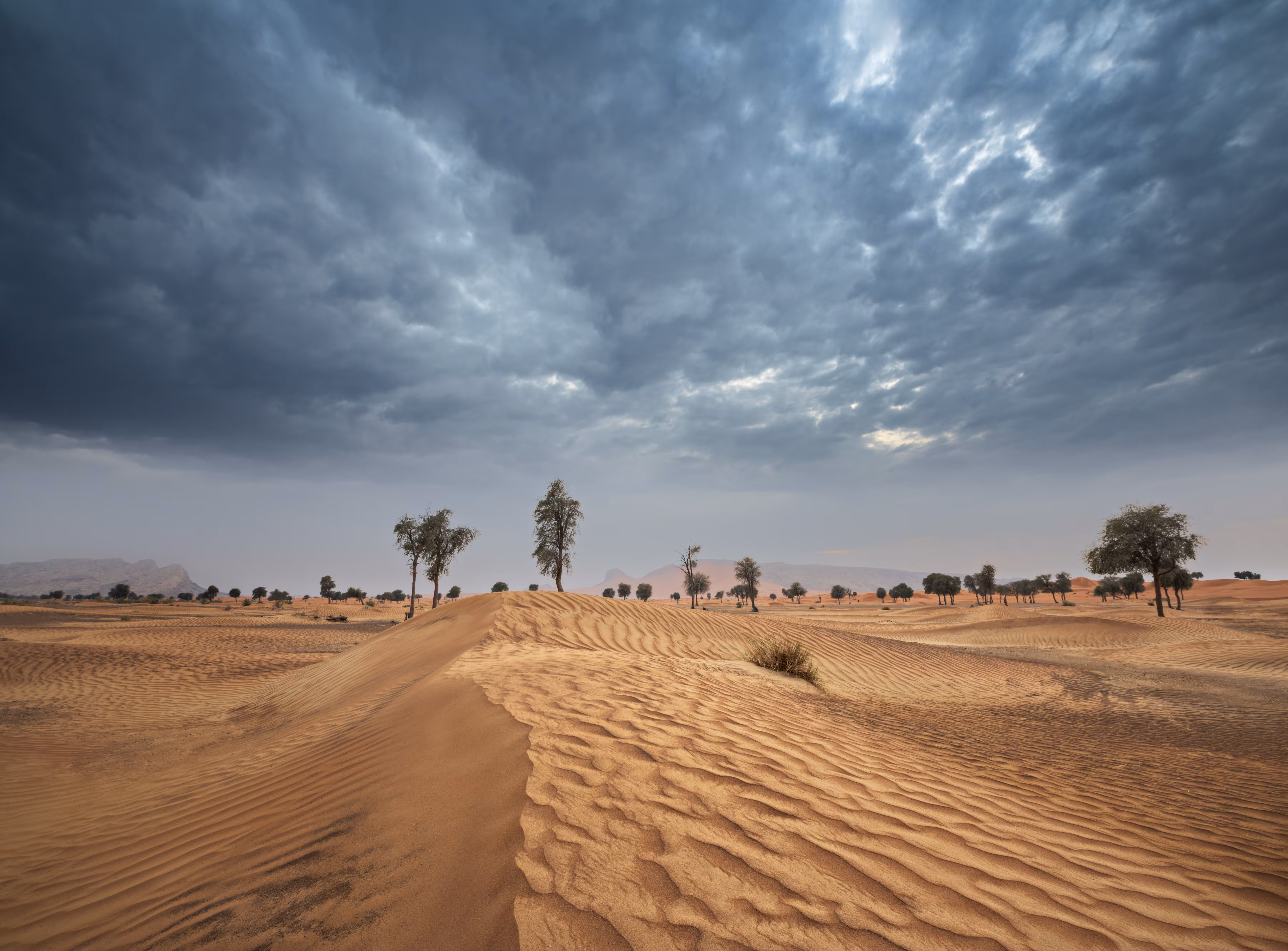 UAE Desertscapes 6