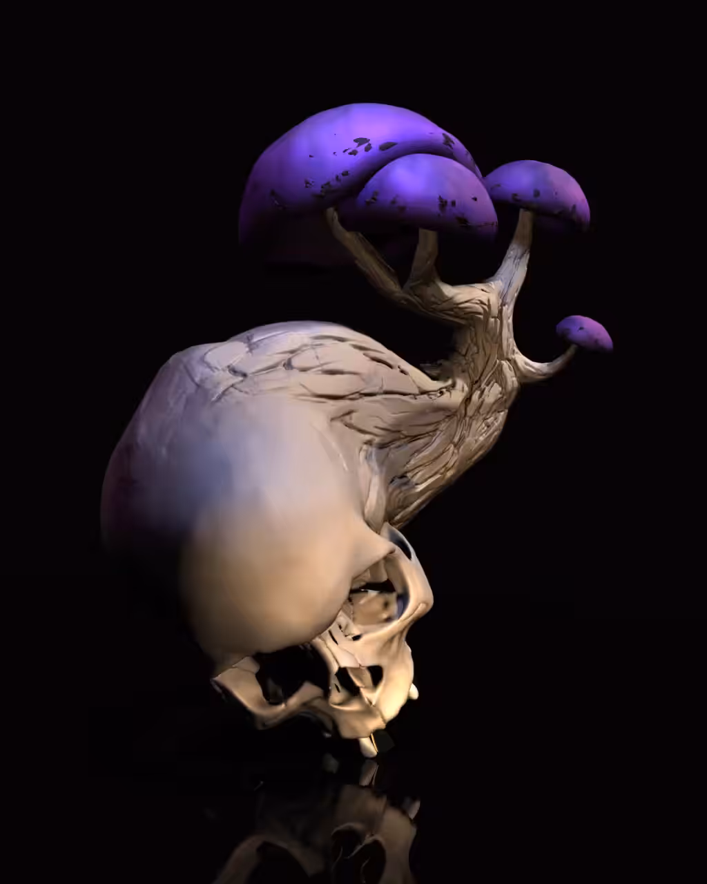 Mushroom Skull