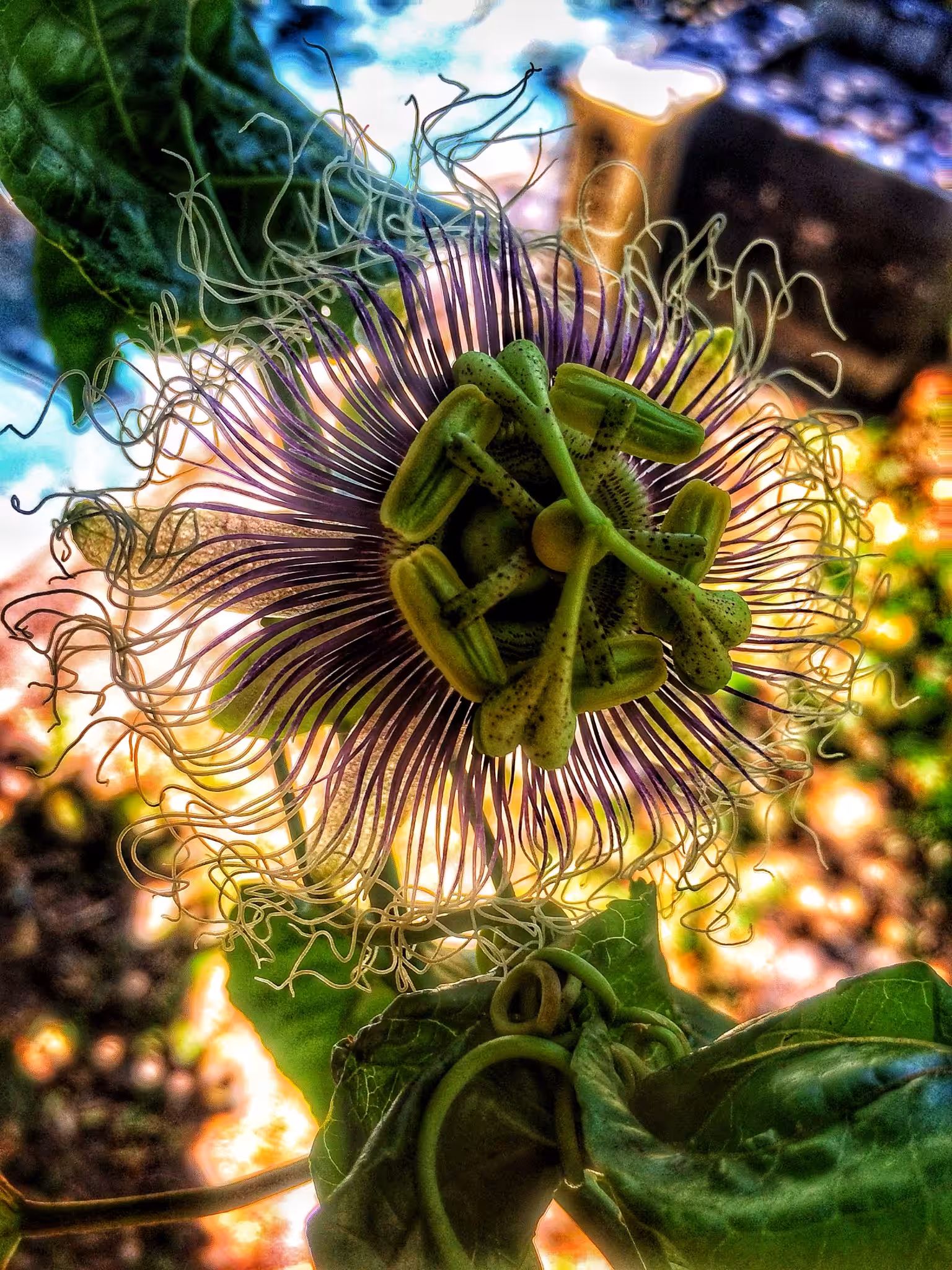 Garden Gods