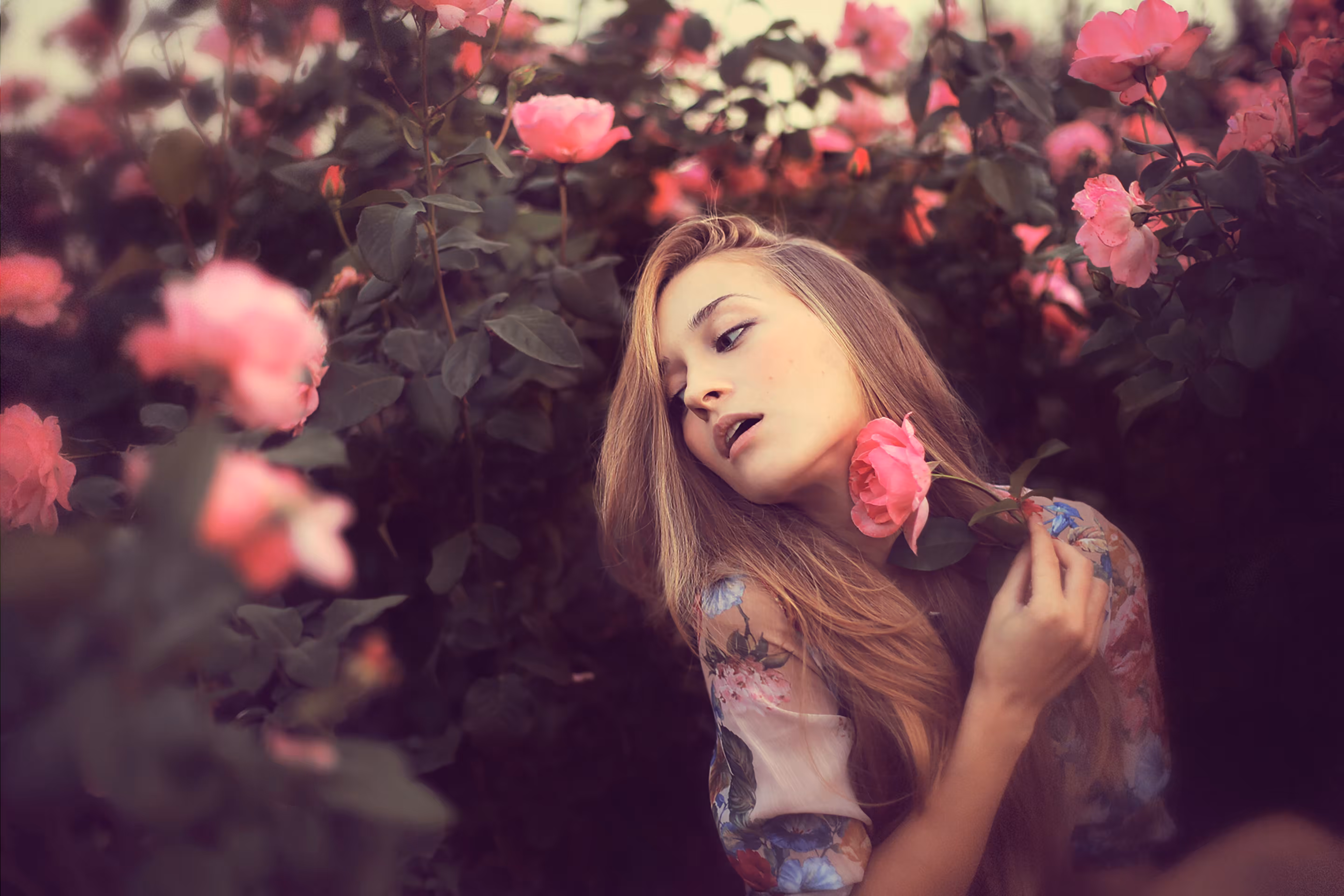 Secret garden