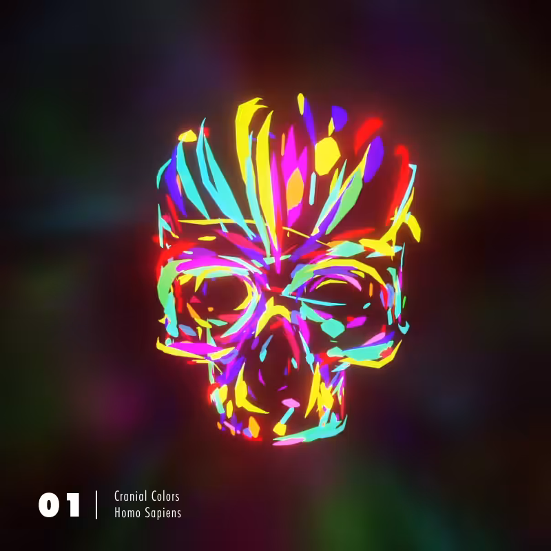 Cranial Colors 01: Homo Sapiens