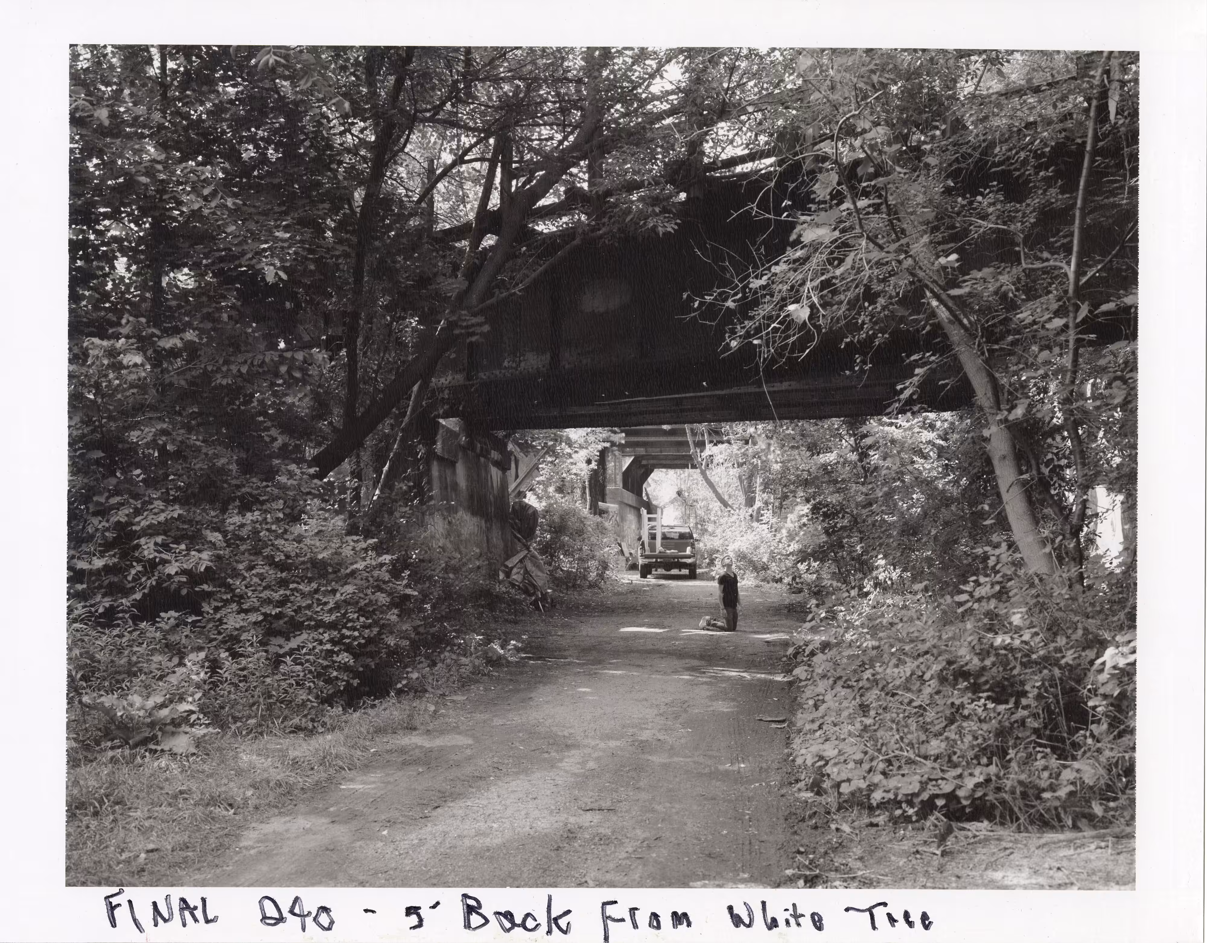 Beneath the Roses, 2003-2008 [Shane Bundle] 8 x 10 Black and White Polaroid Study [No. 3]