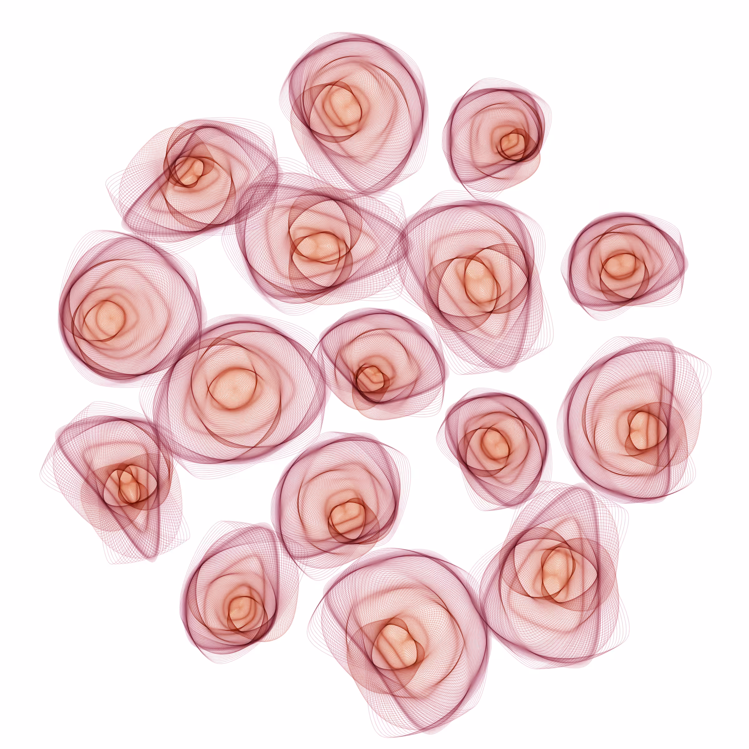 Flowers #964