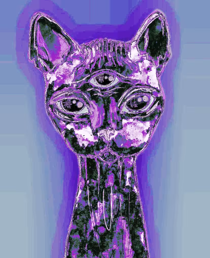 BRIGHT MADNESS: All-seeing cat