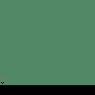 Chameleon #14