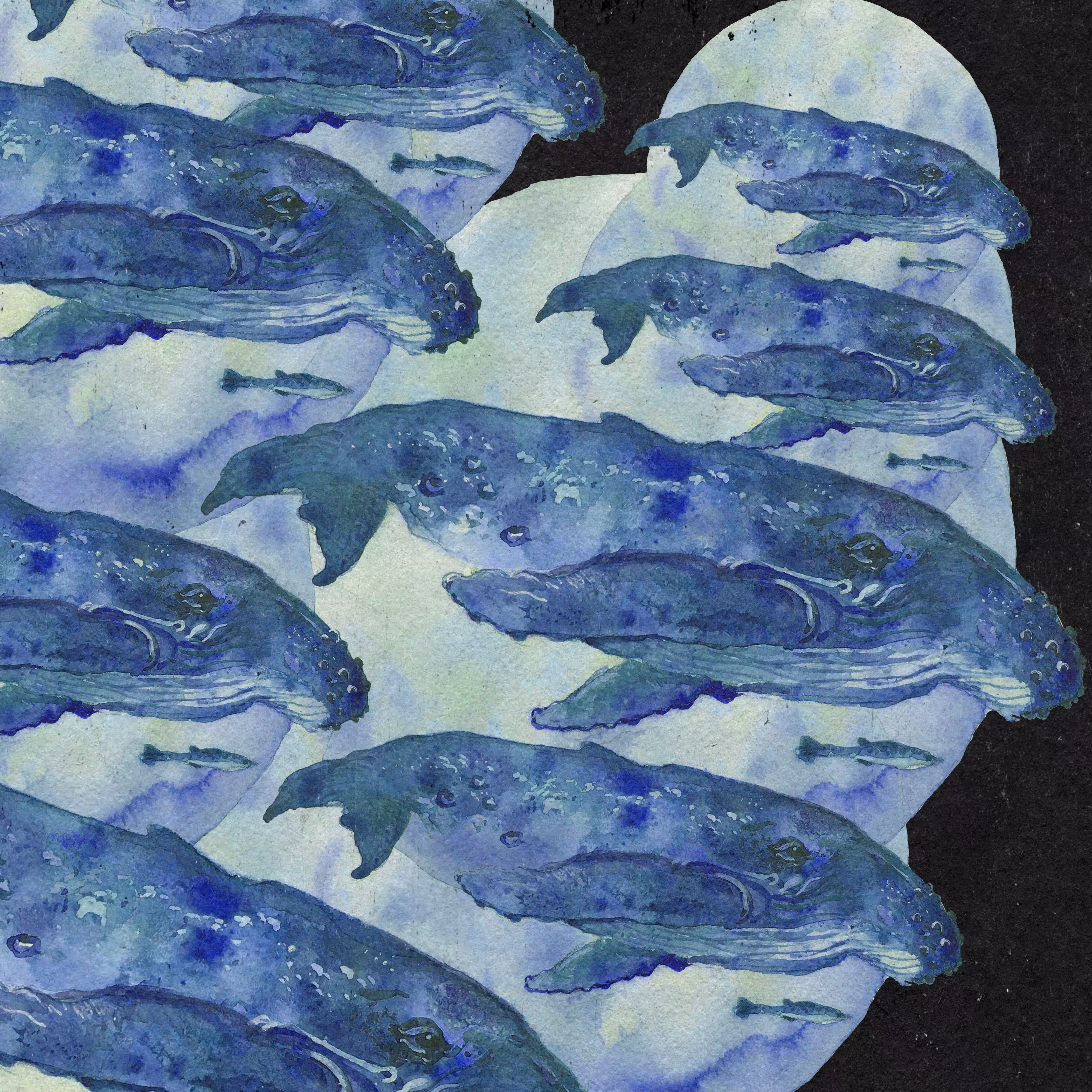 Whales
