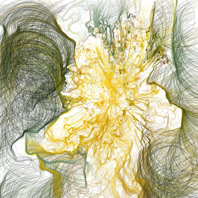 Hypericum #184