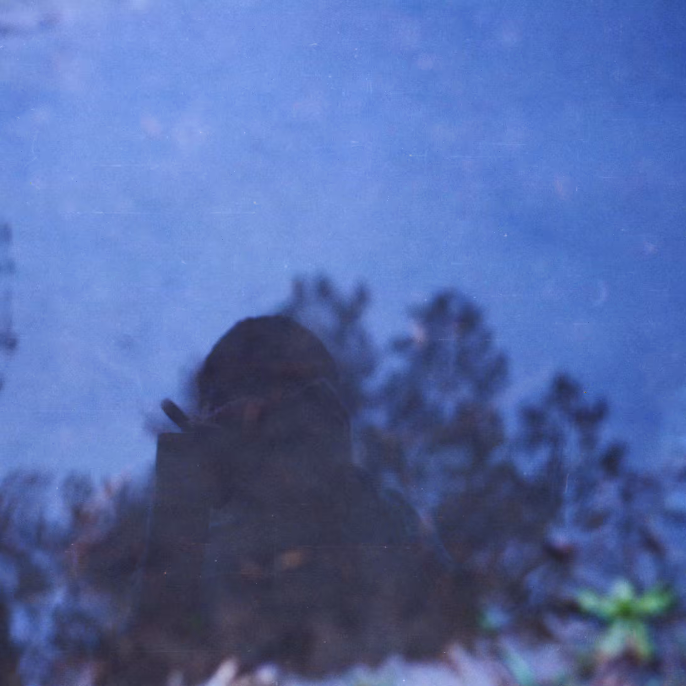 selfportrait