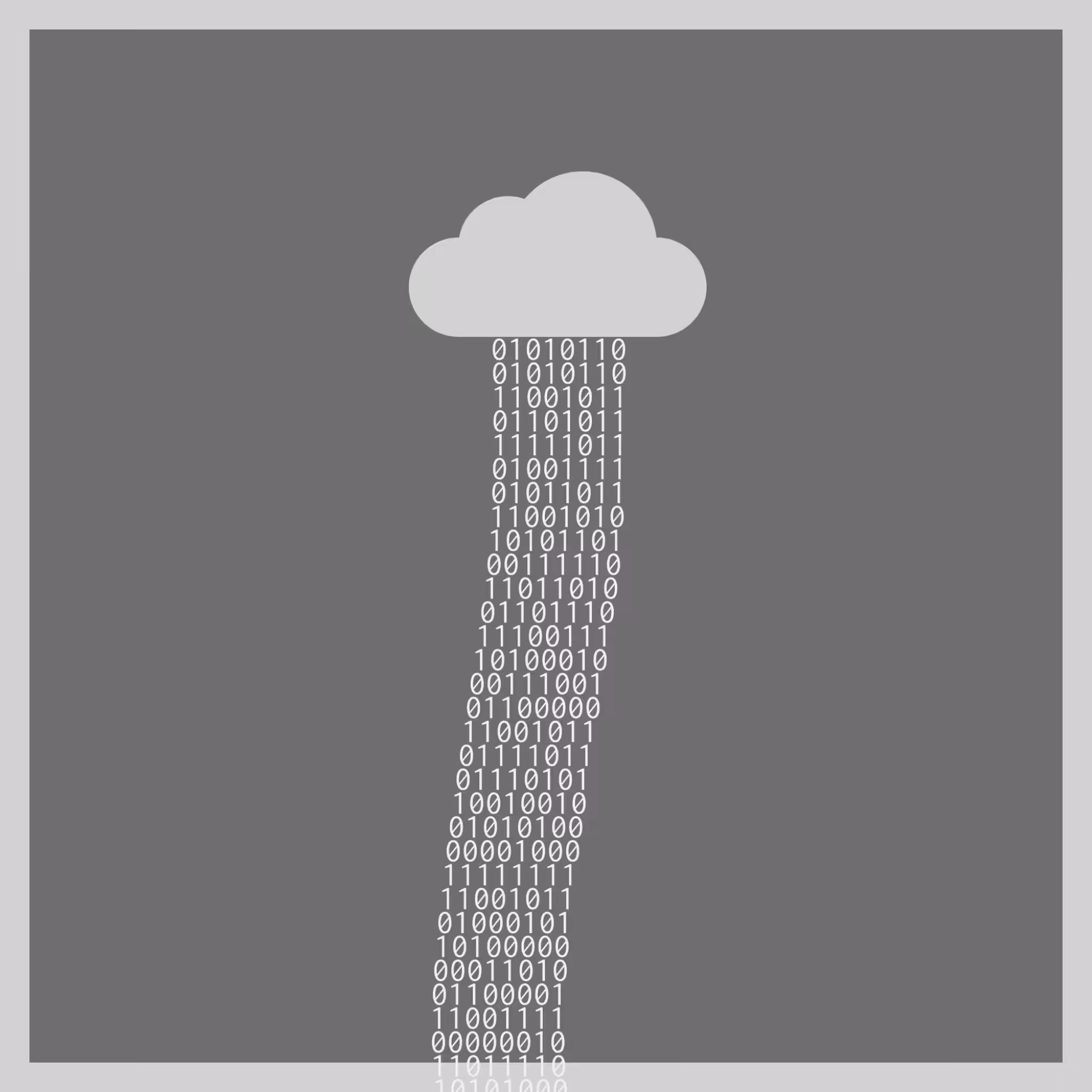 bit rain #16