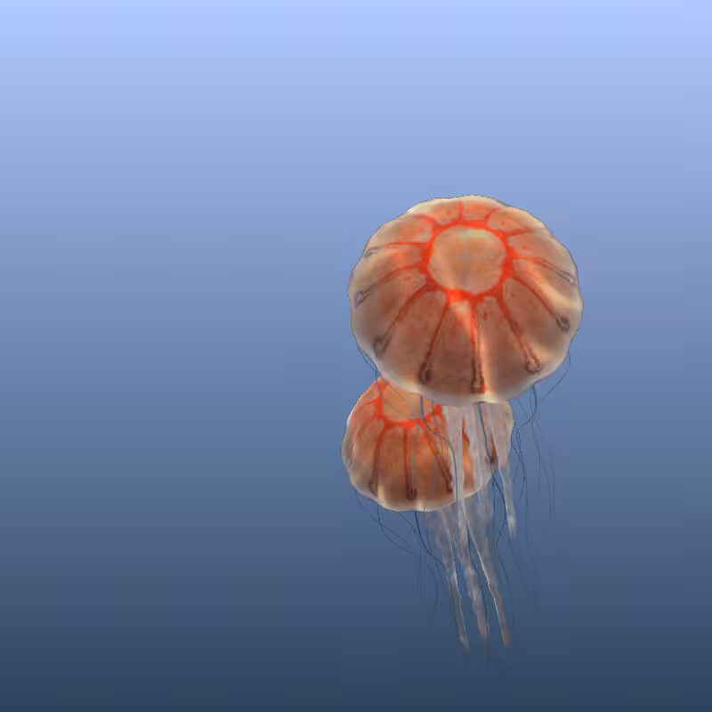 Jellyfish #60