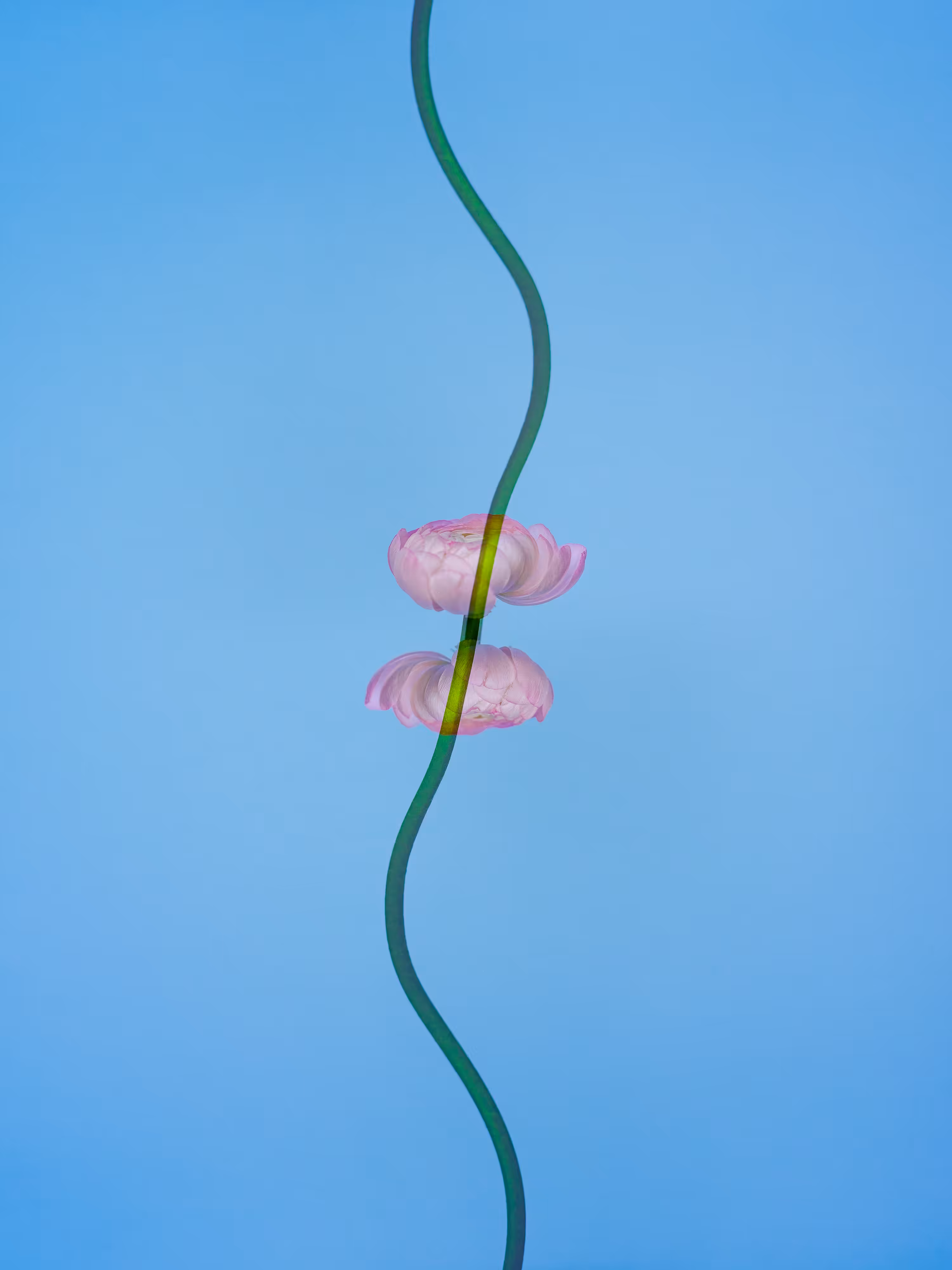 Life Is Not A Straight Line