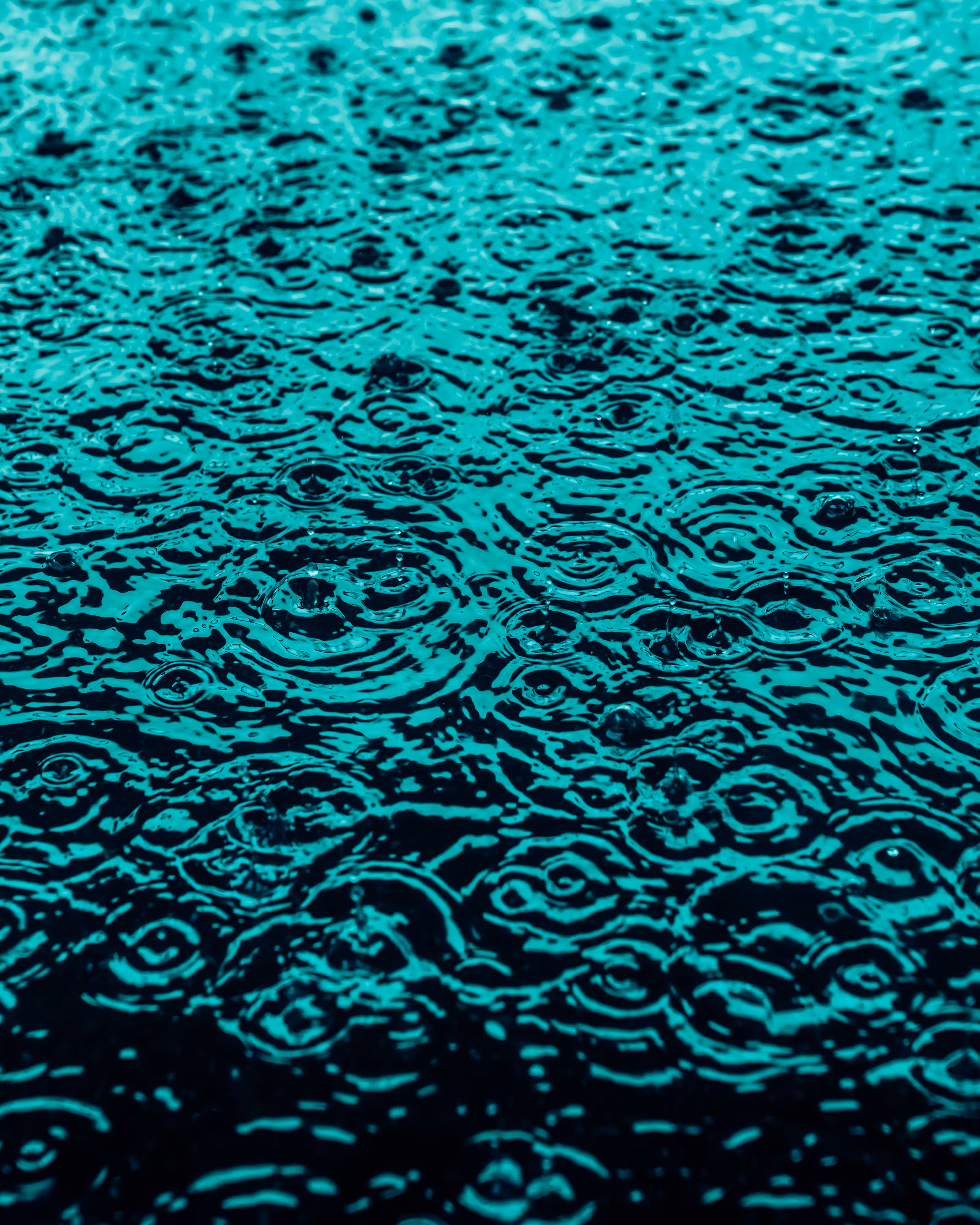 DRIP DROP: DRIP #511