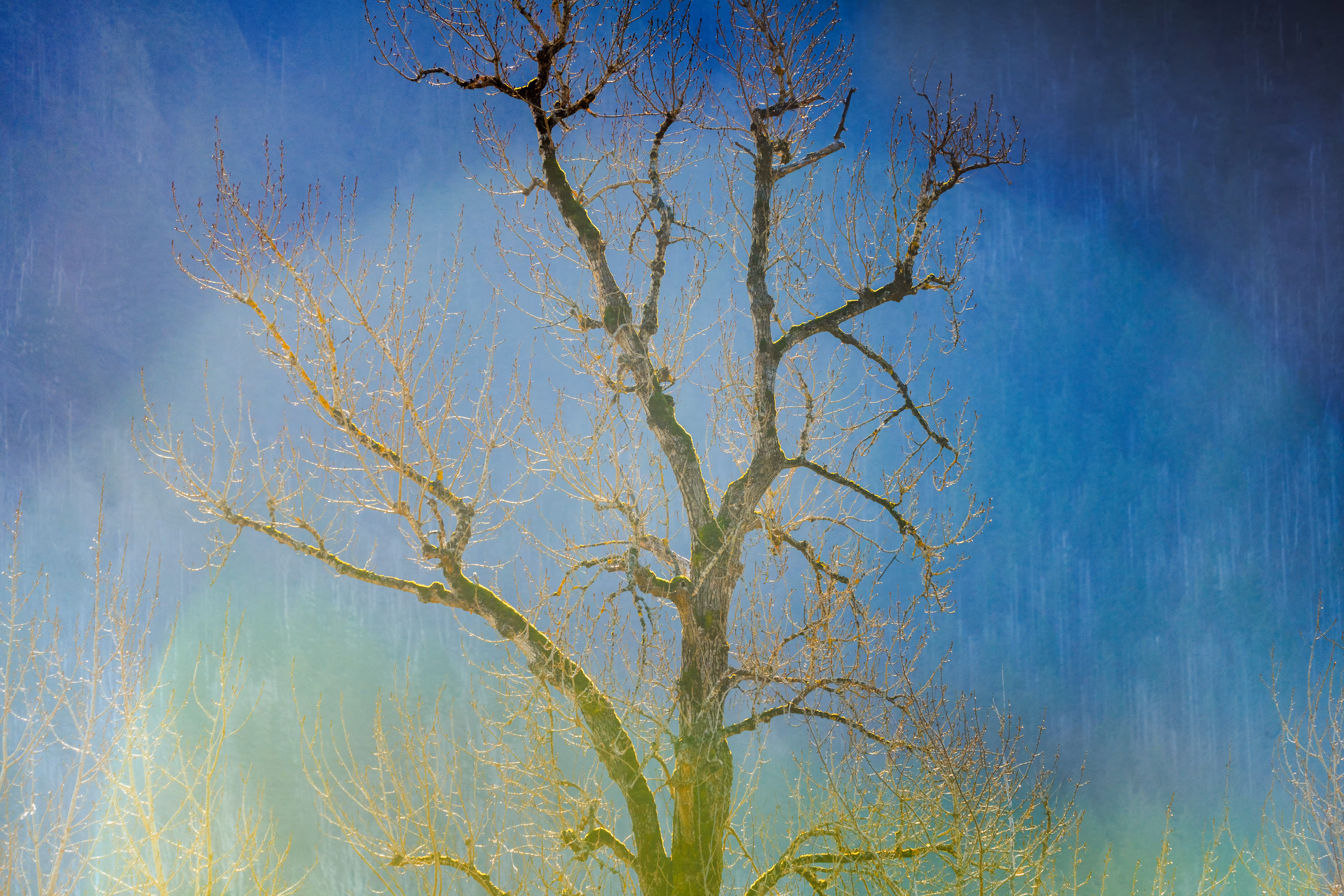 Becoming