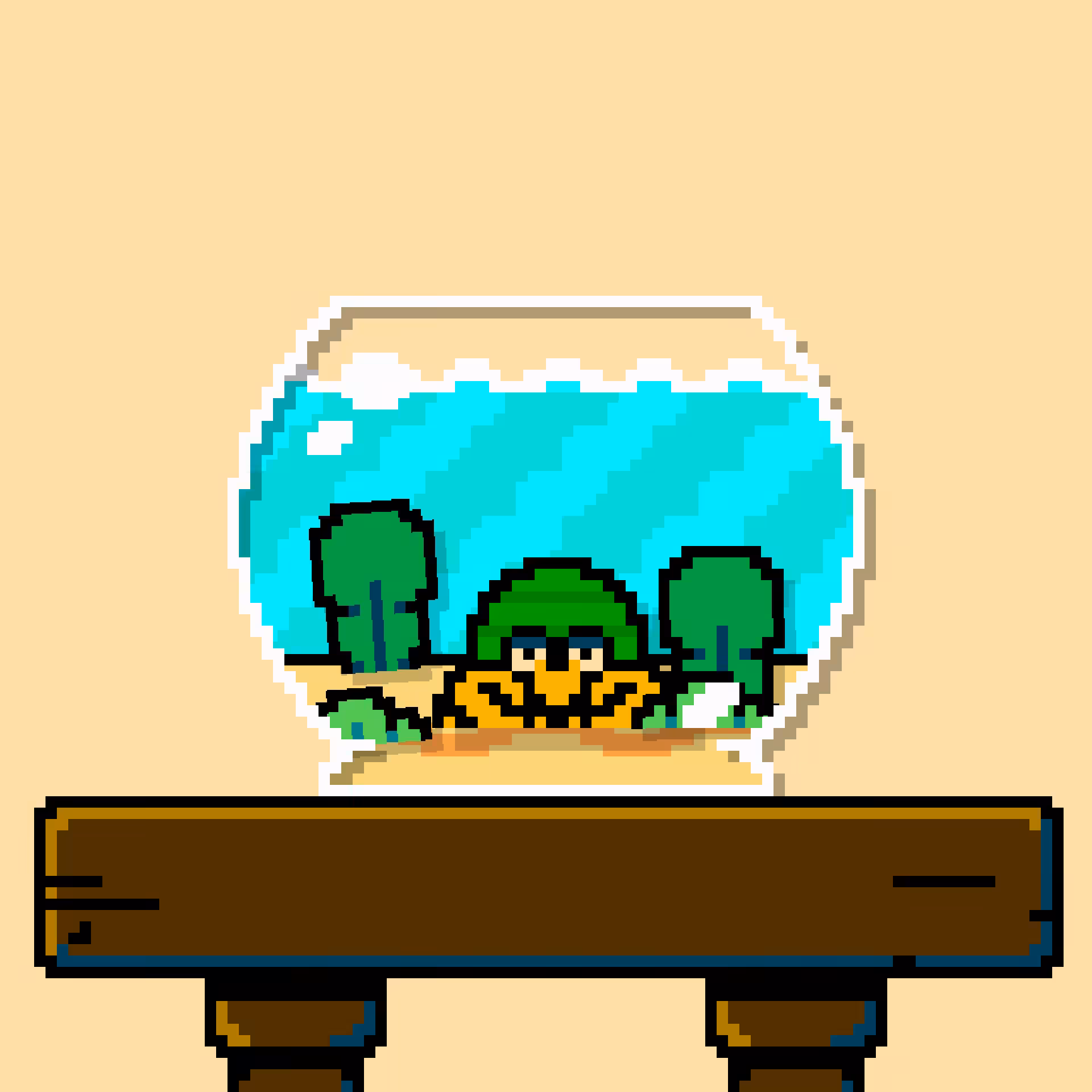 hermit crab #123