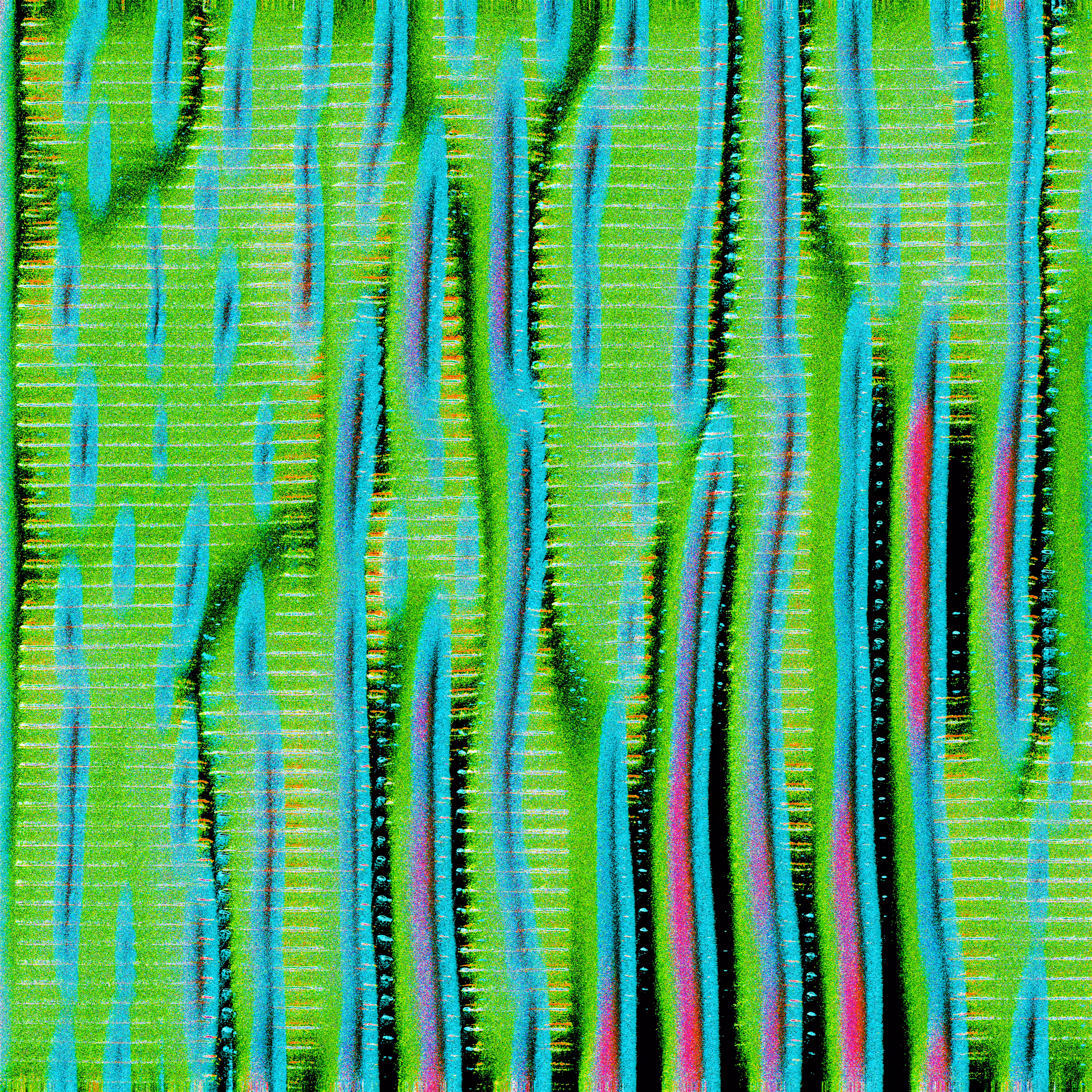 Birch Weave Forest