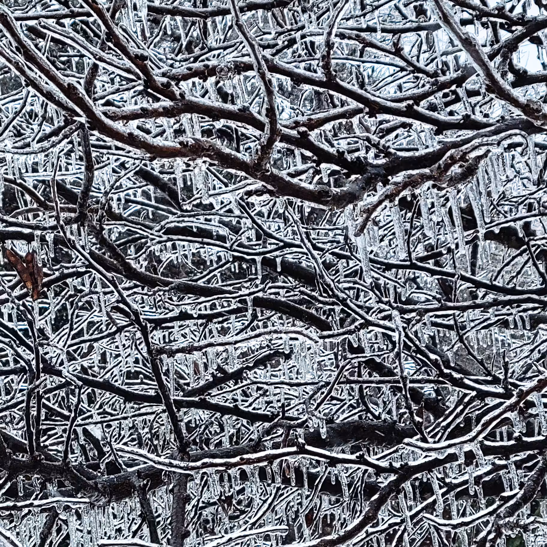 Ice