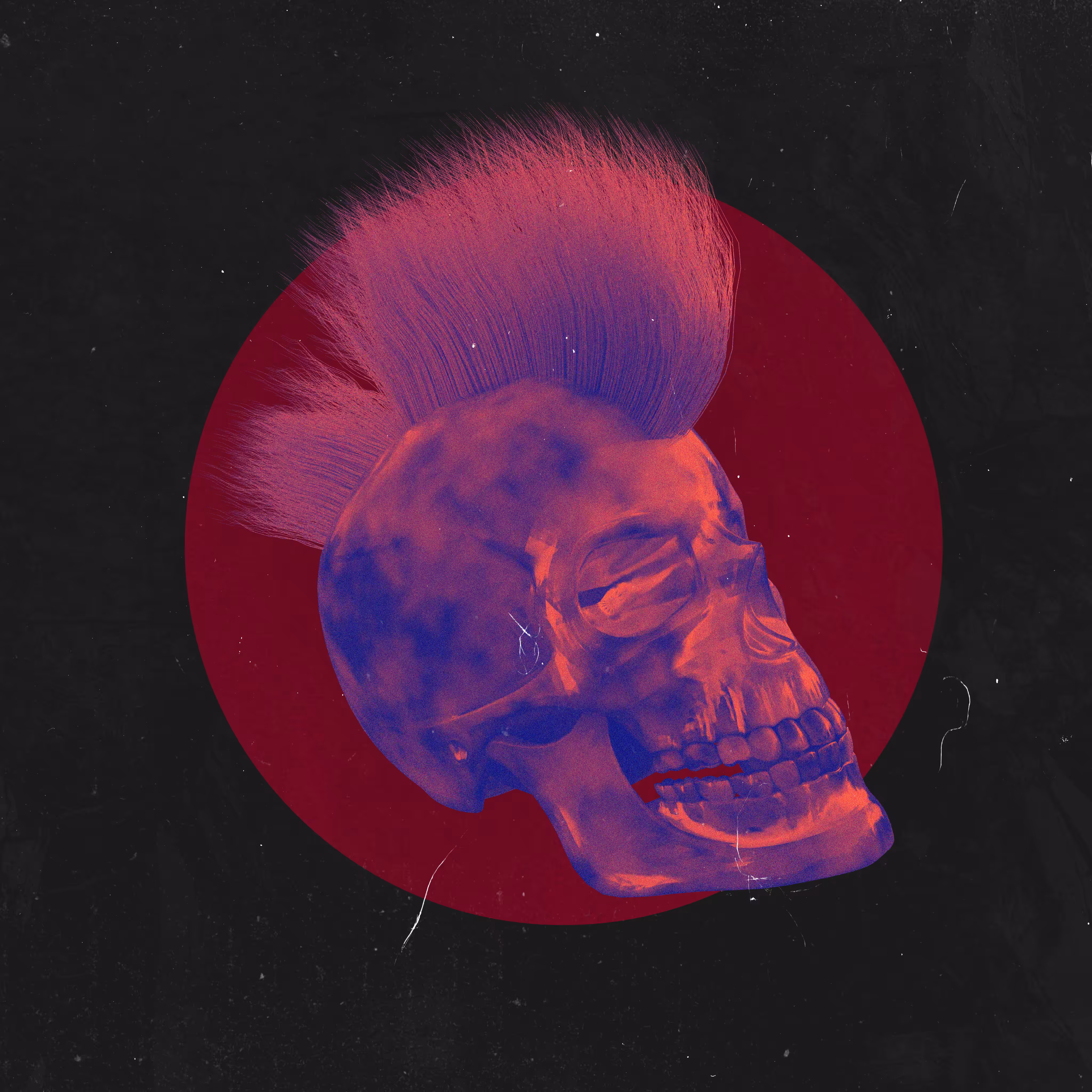 SKULL PUNK