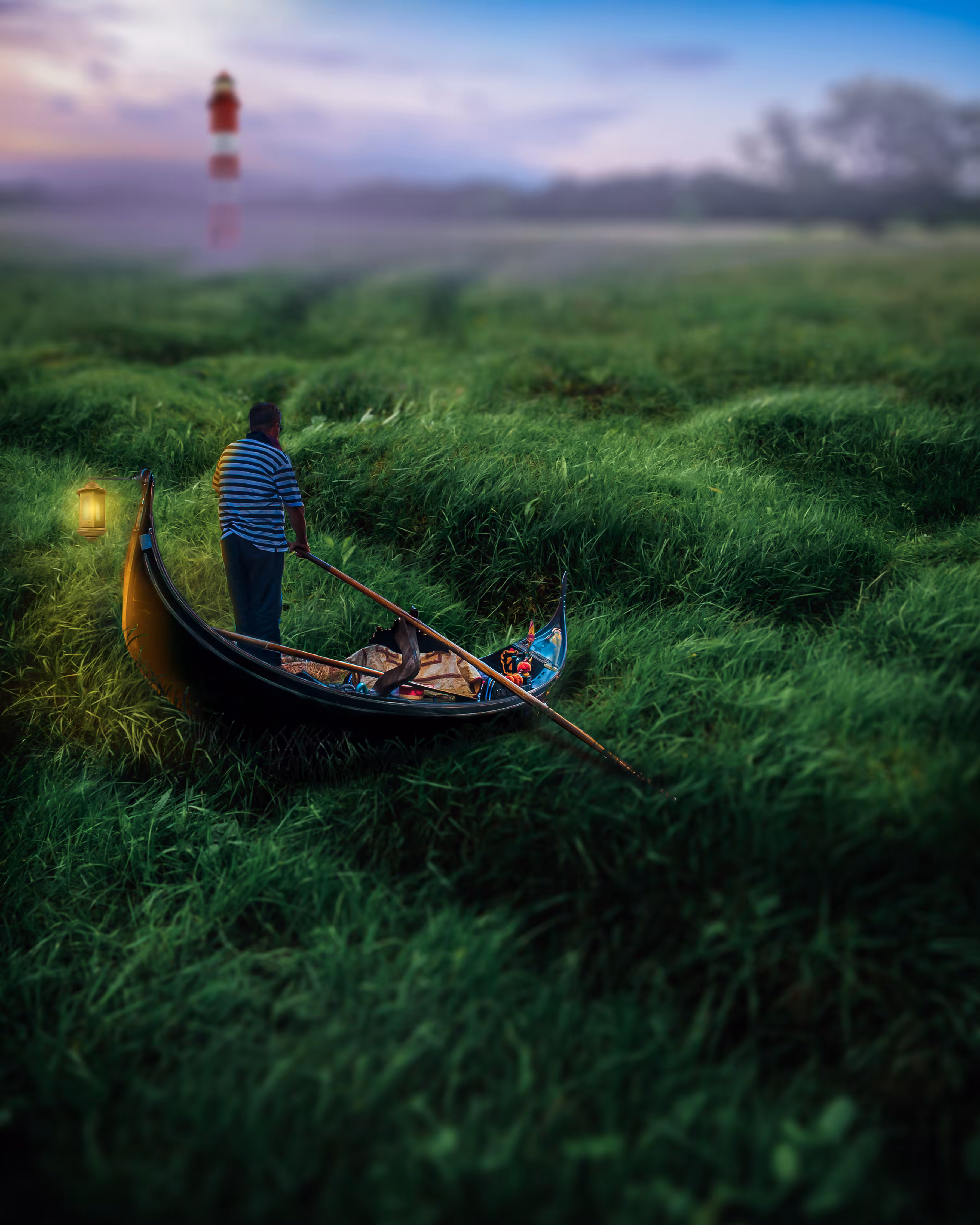 Grass Seas
