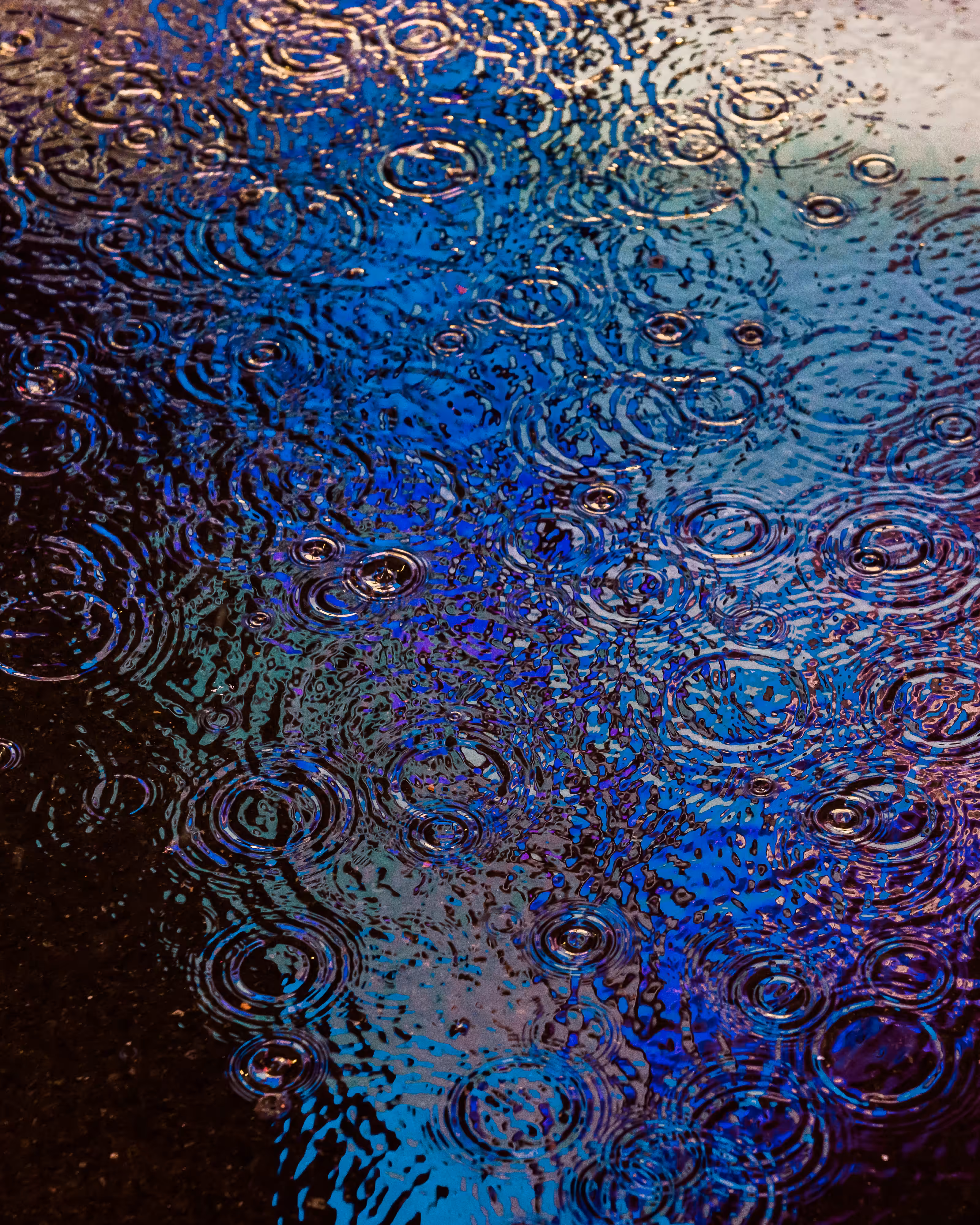 DRIP DROP: DRIP #383