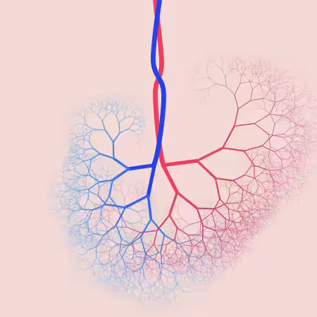 capillary trees #14