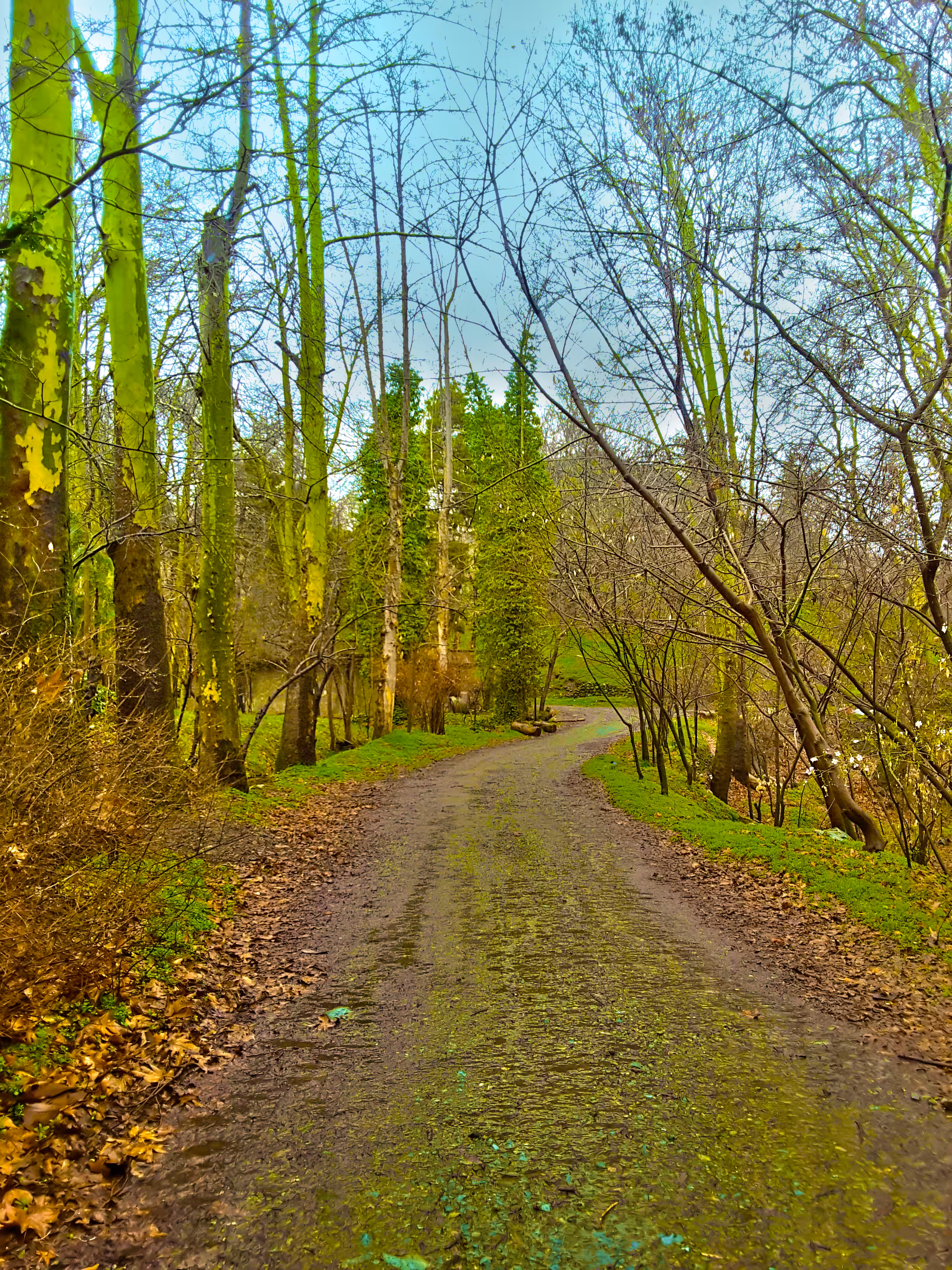 Endless road