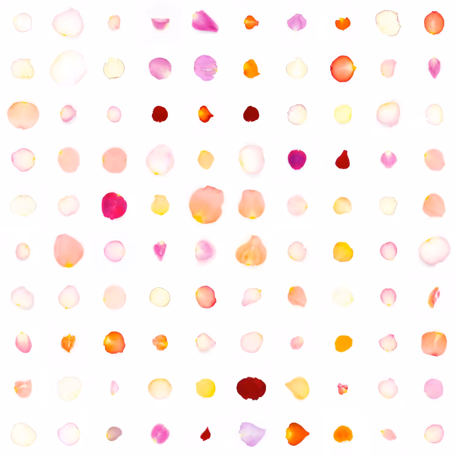 Infinite Petals 10x10#10094