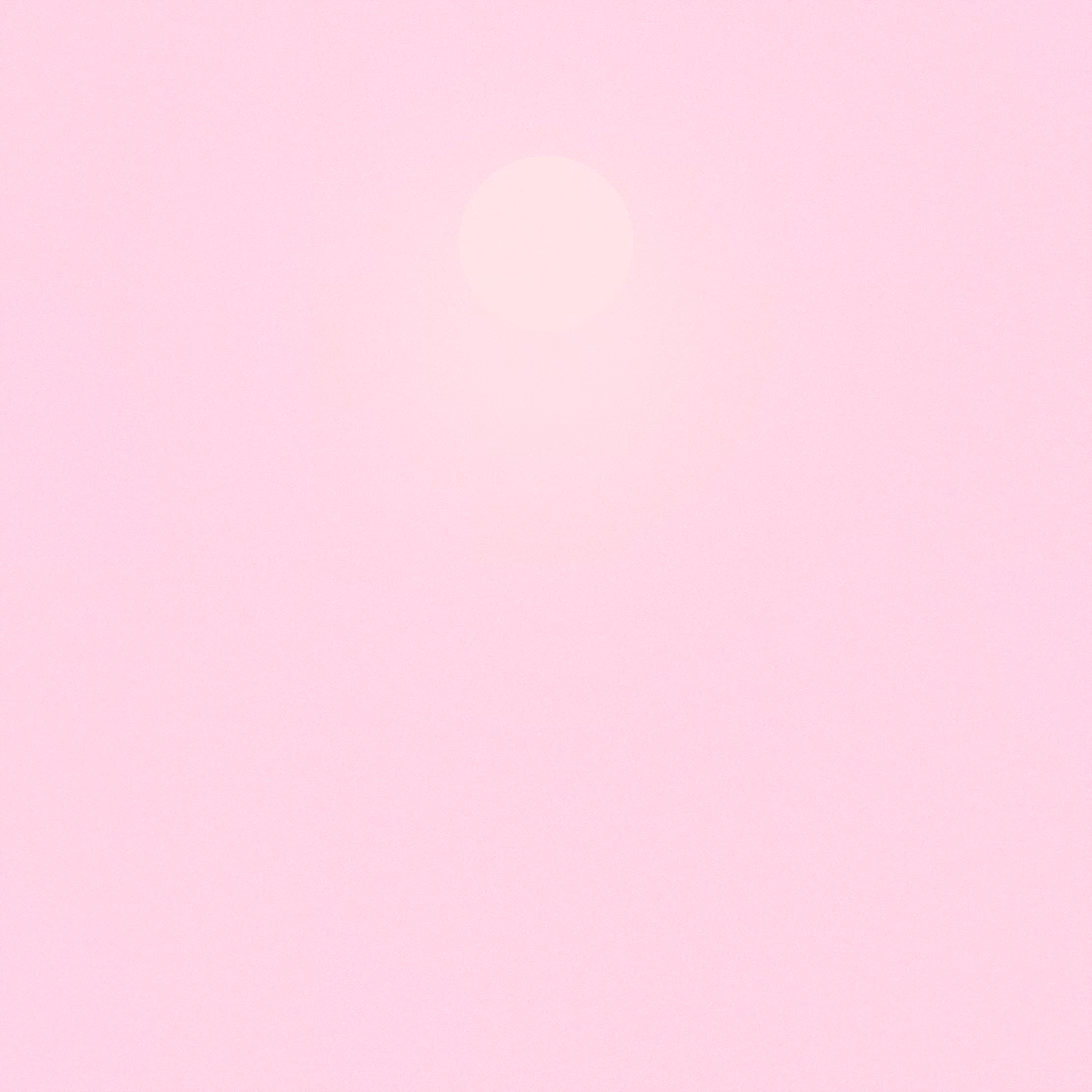 with the light 58
