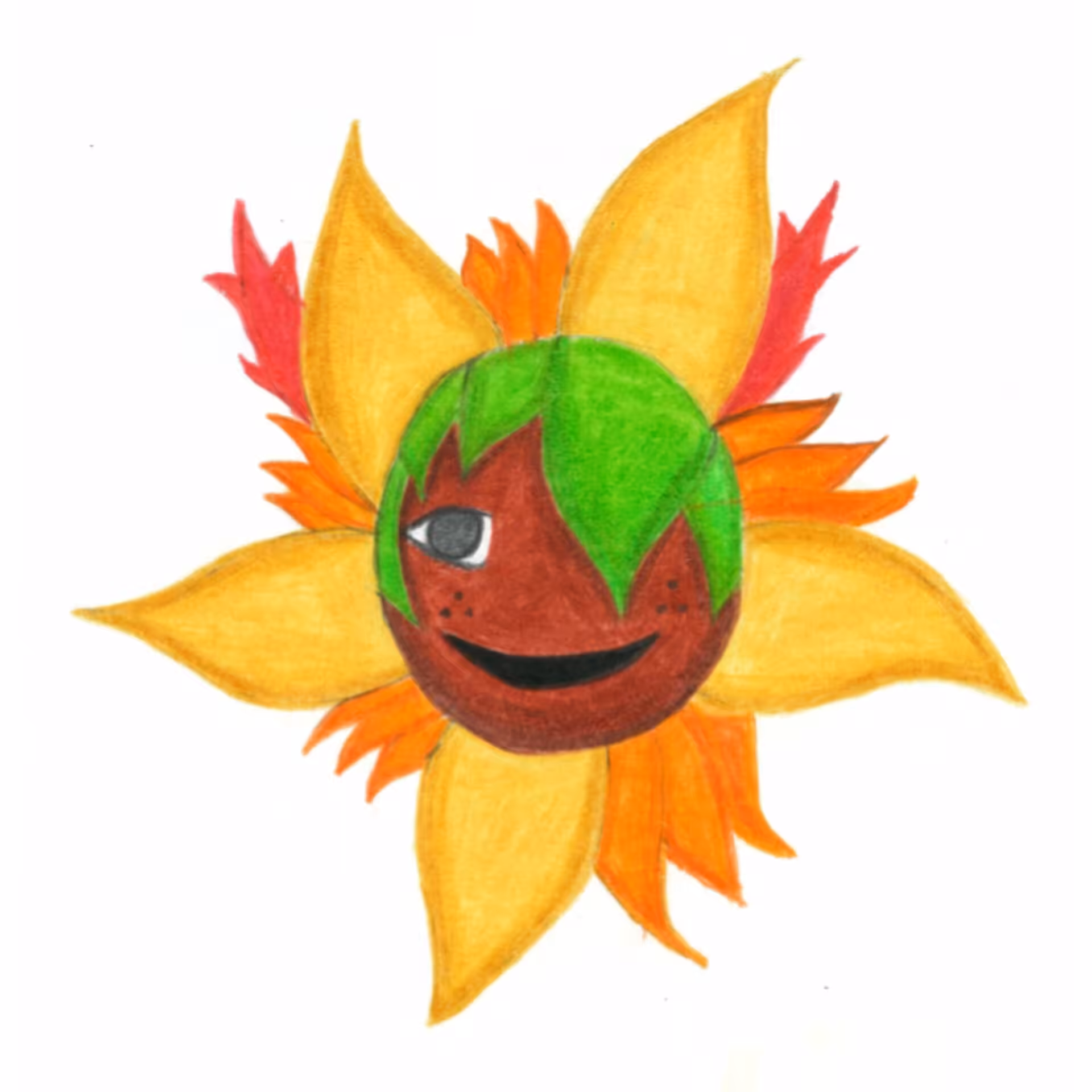 🌻🌻🌻🌻🌻