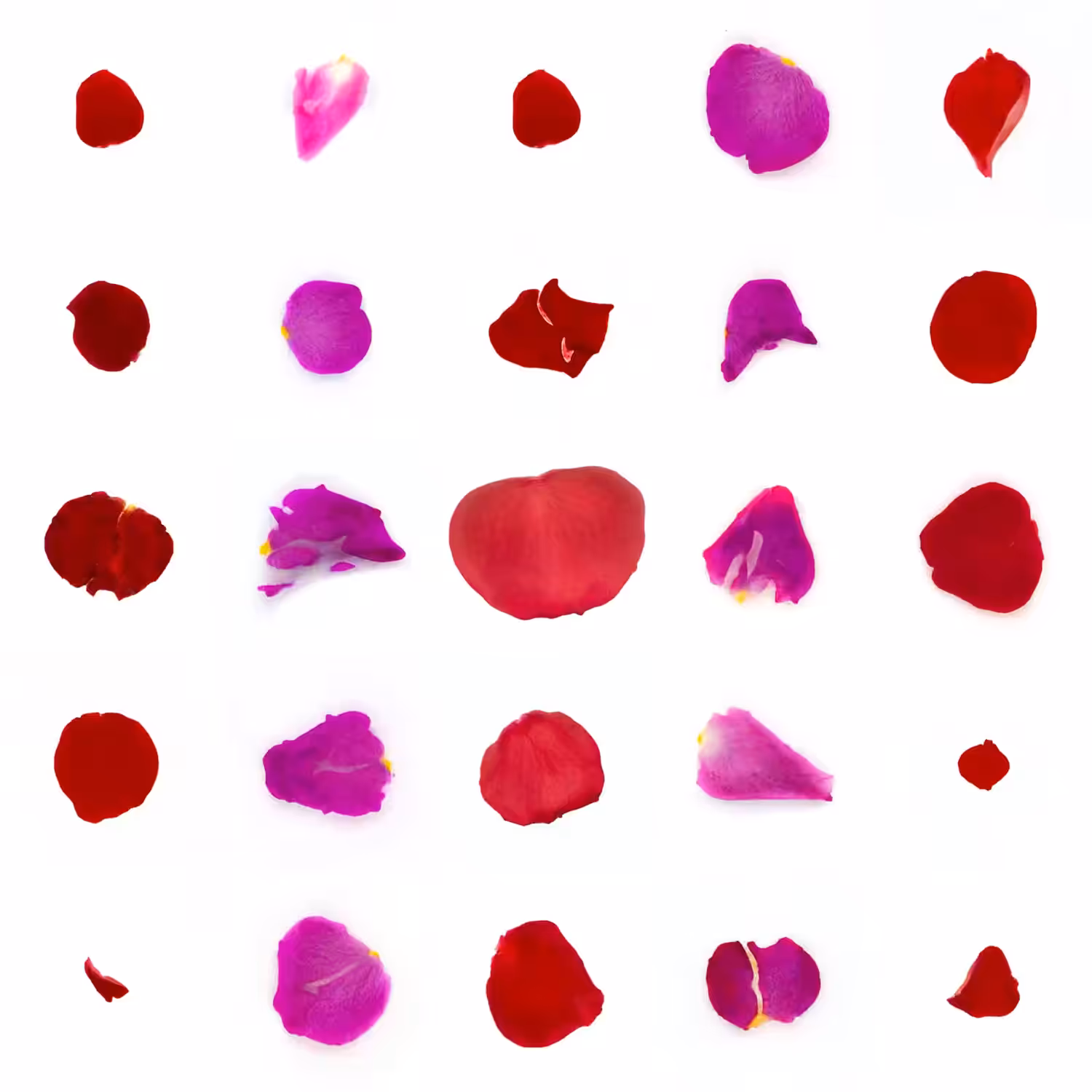 Infinite Petals 5x5#20466