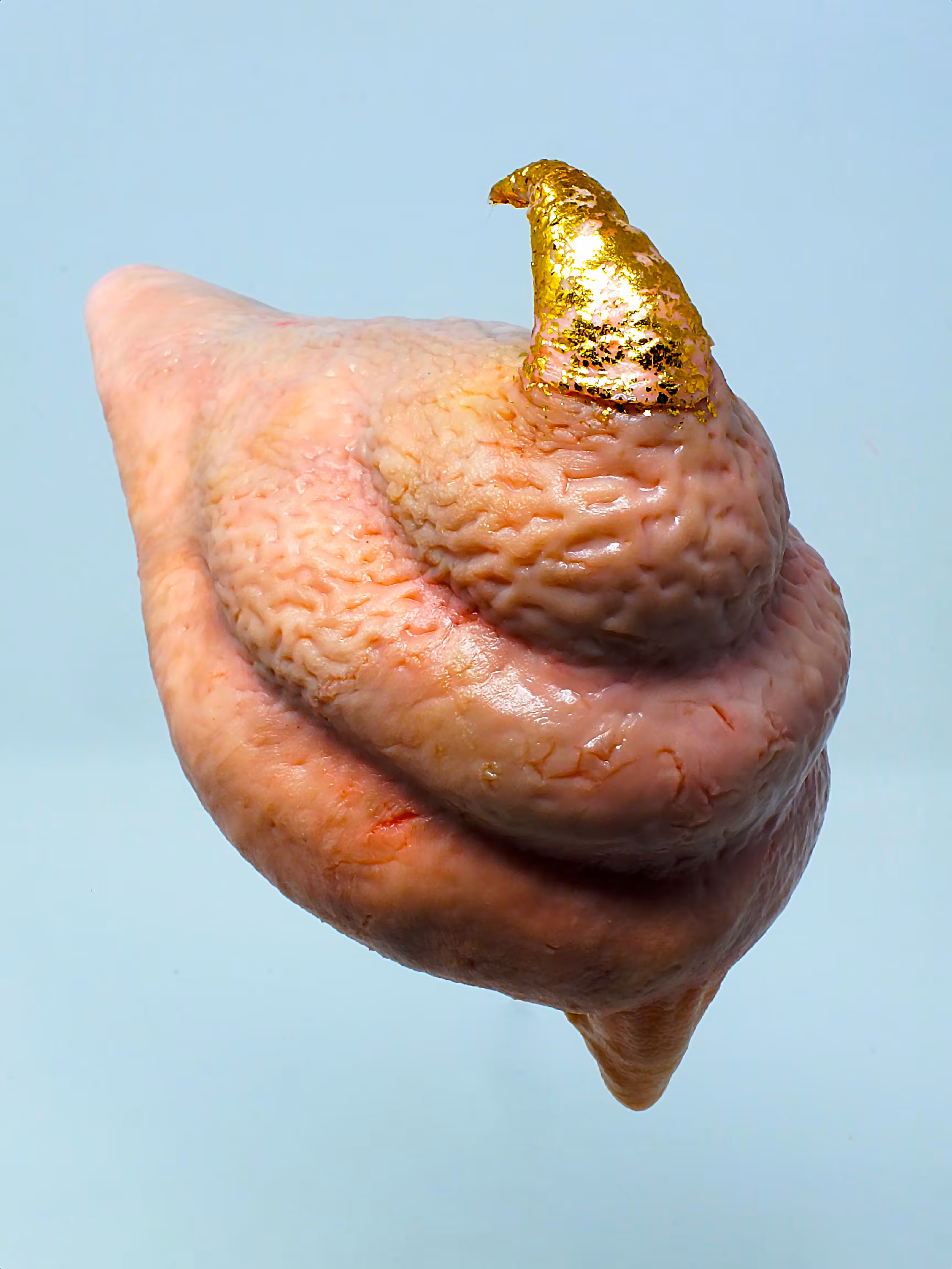 POOP