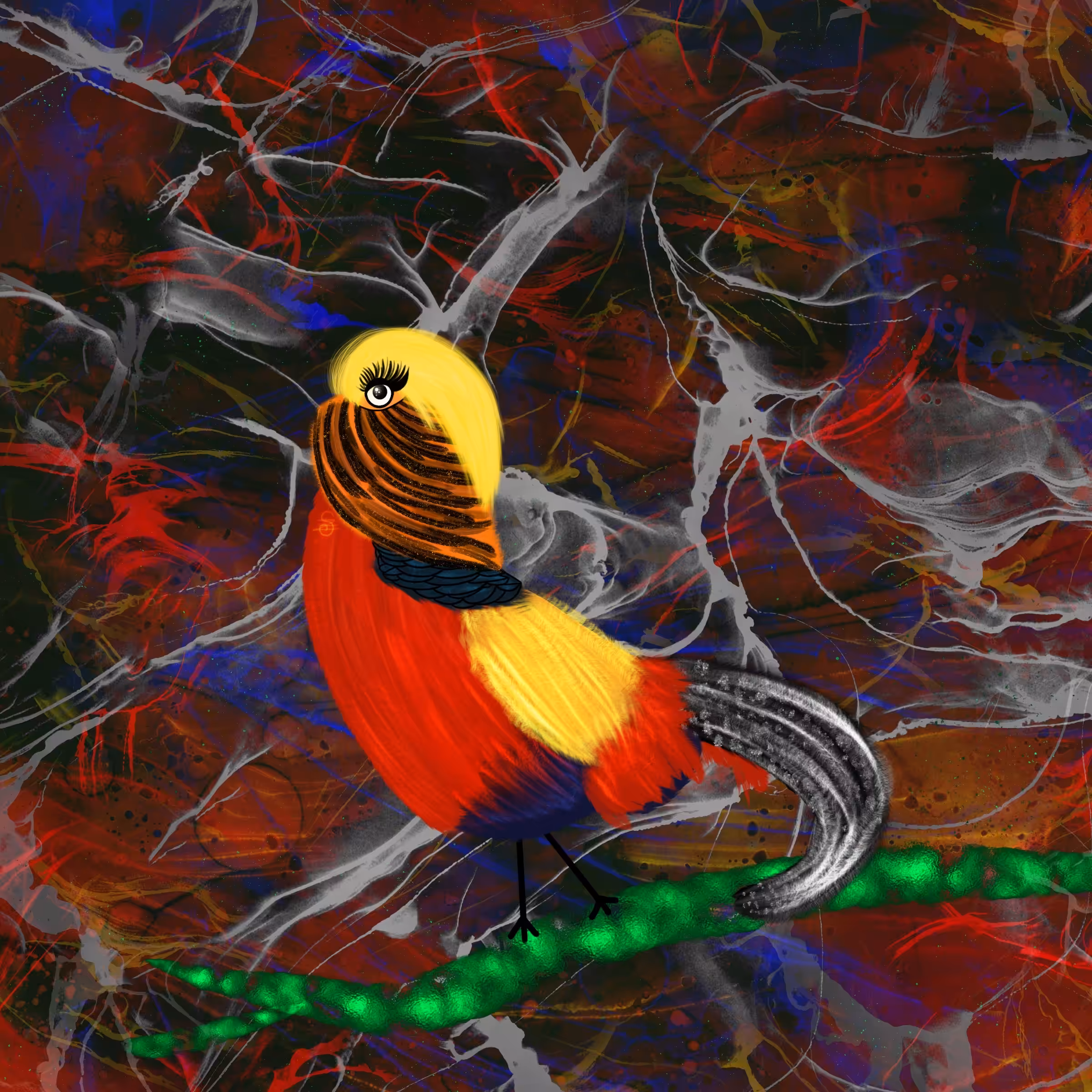 Golden Pheasant Bird