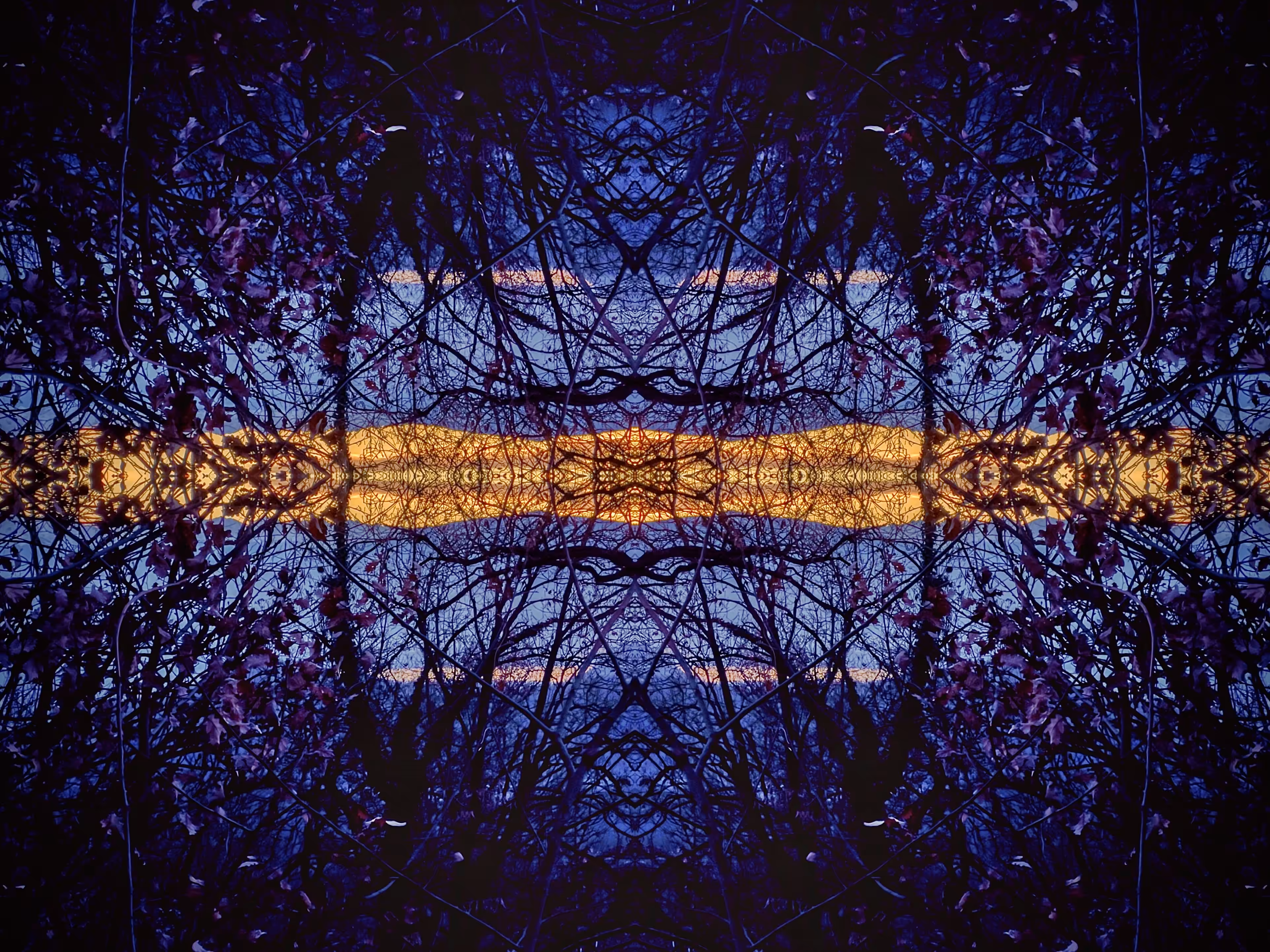 Symmetrography #16