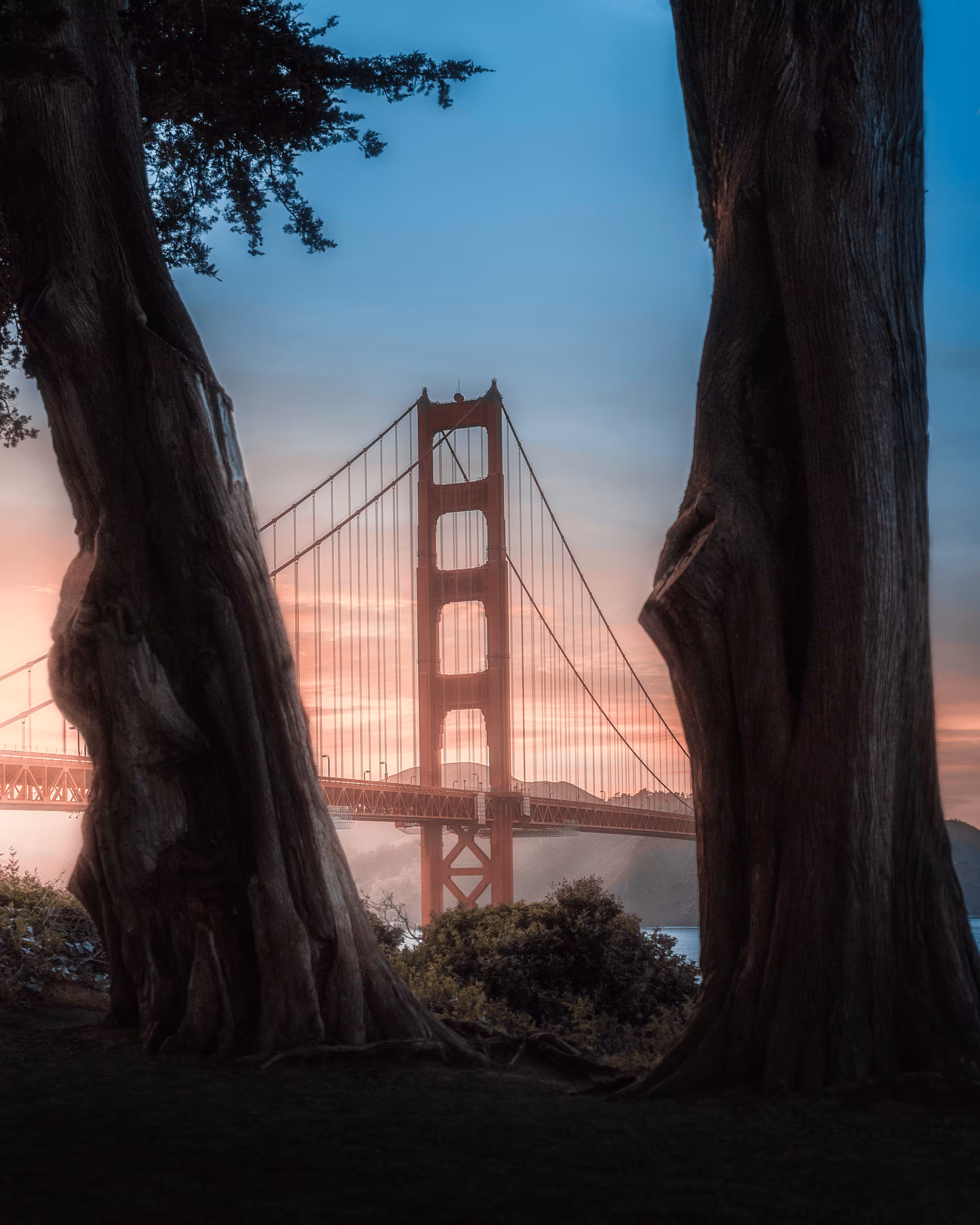 4 - Natural Frames