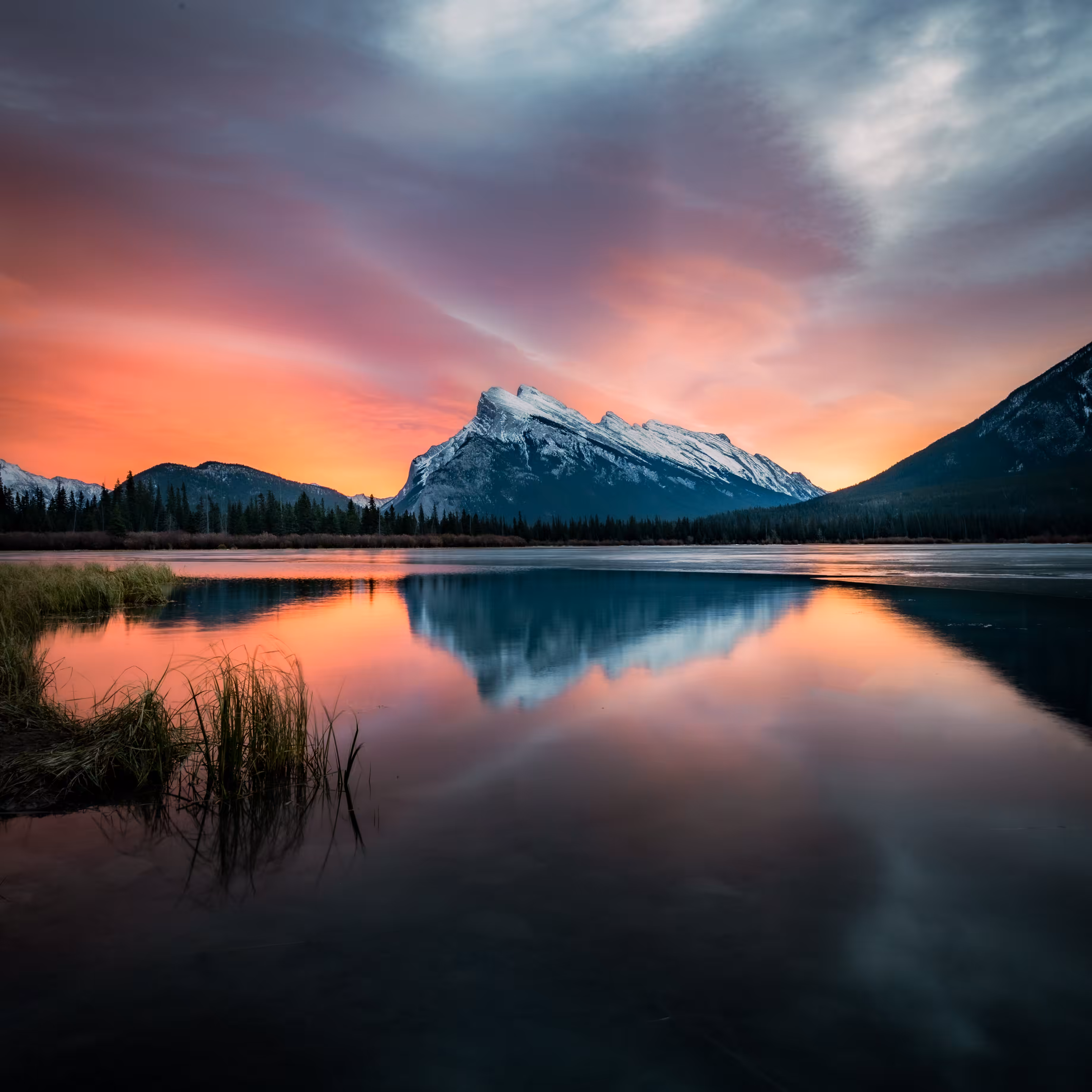 Awestruck