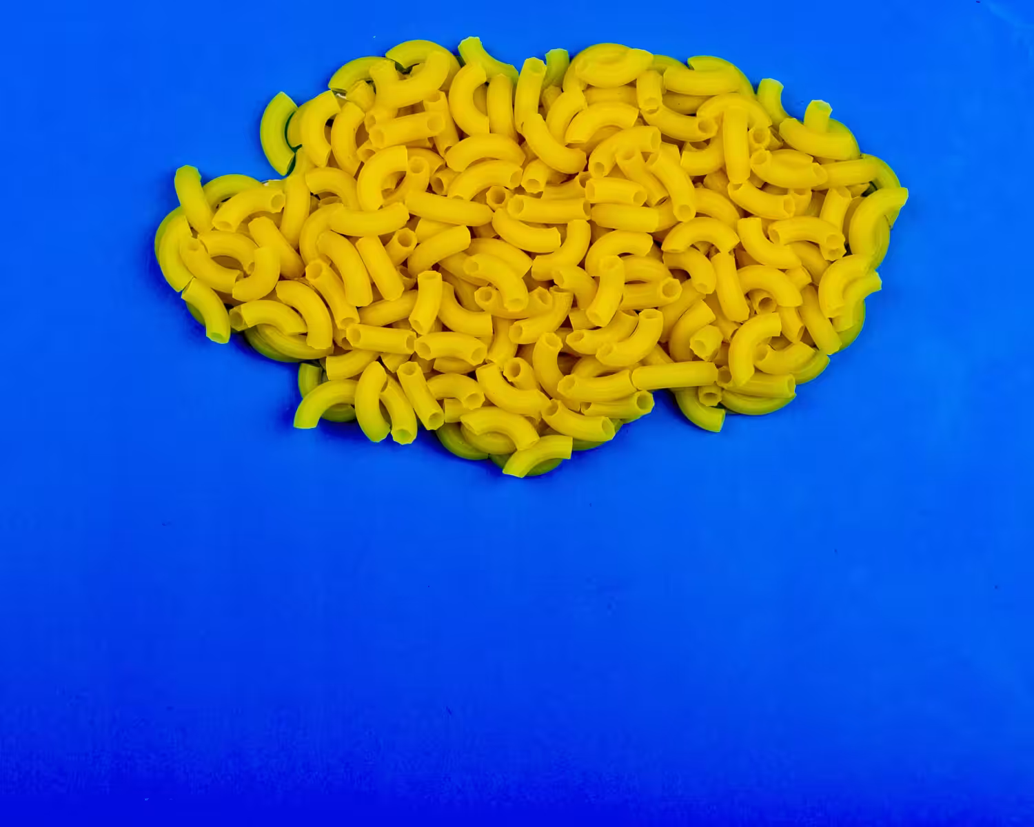 The Living Gallery: A Stop Motion Journey