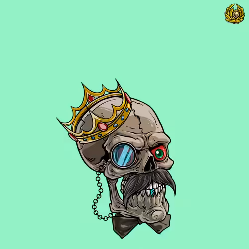 Crypto Skull Head #48
