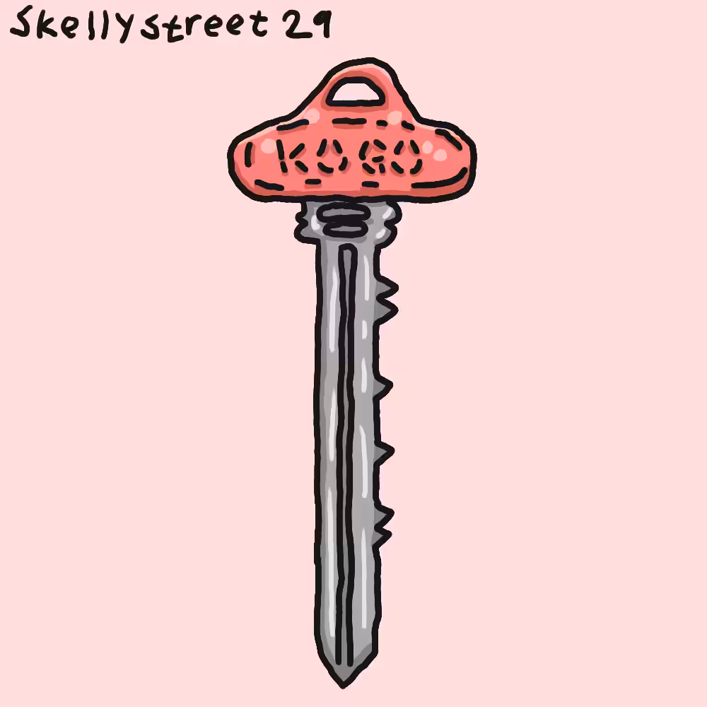Skellystreet 29