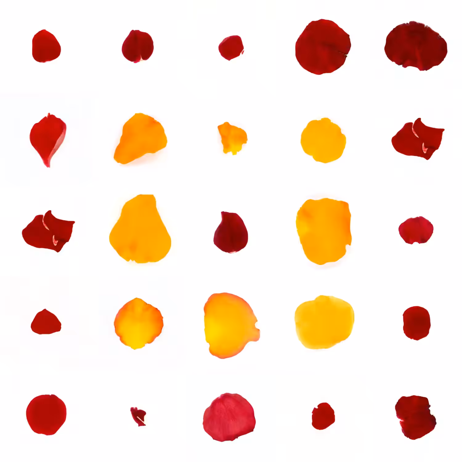 Infinite Petals 5x5#2364