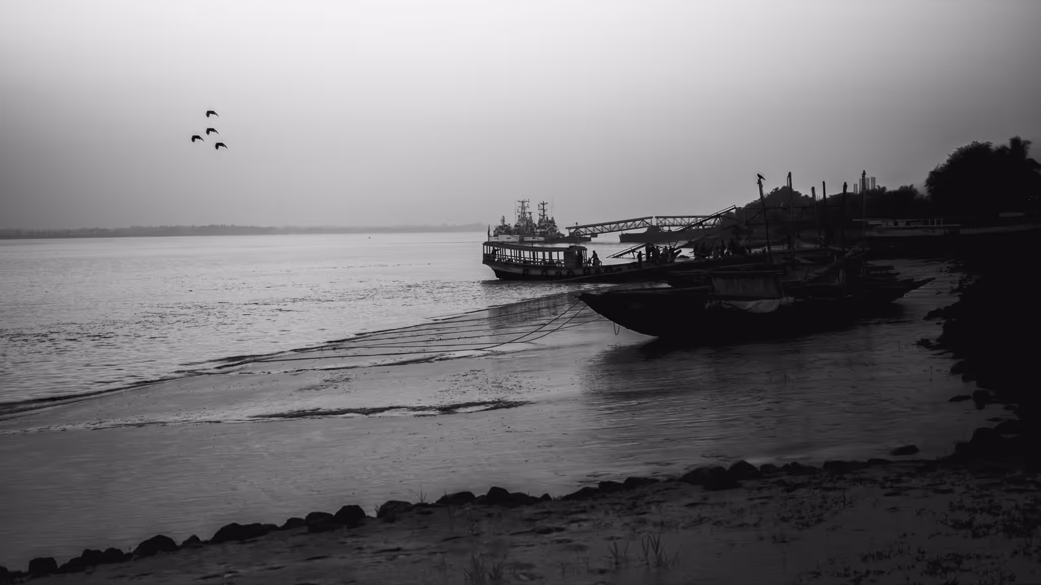 The Happy Valley: Misty Shores