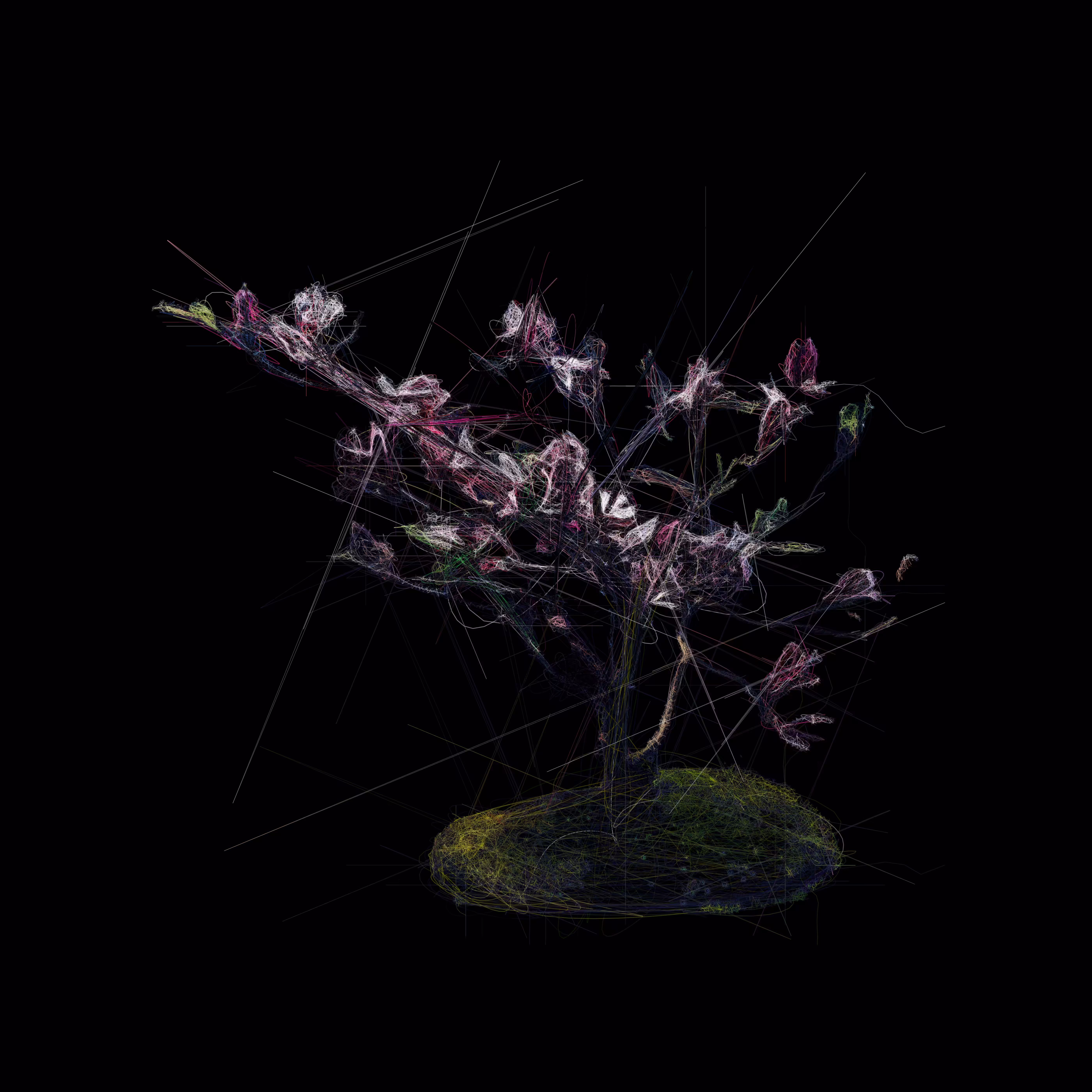 A Small Patch of Grass with a Japanese Magnolia