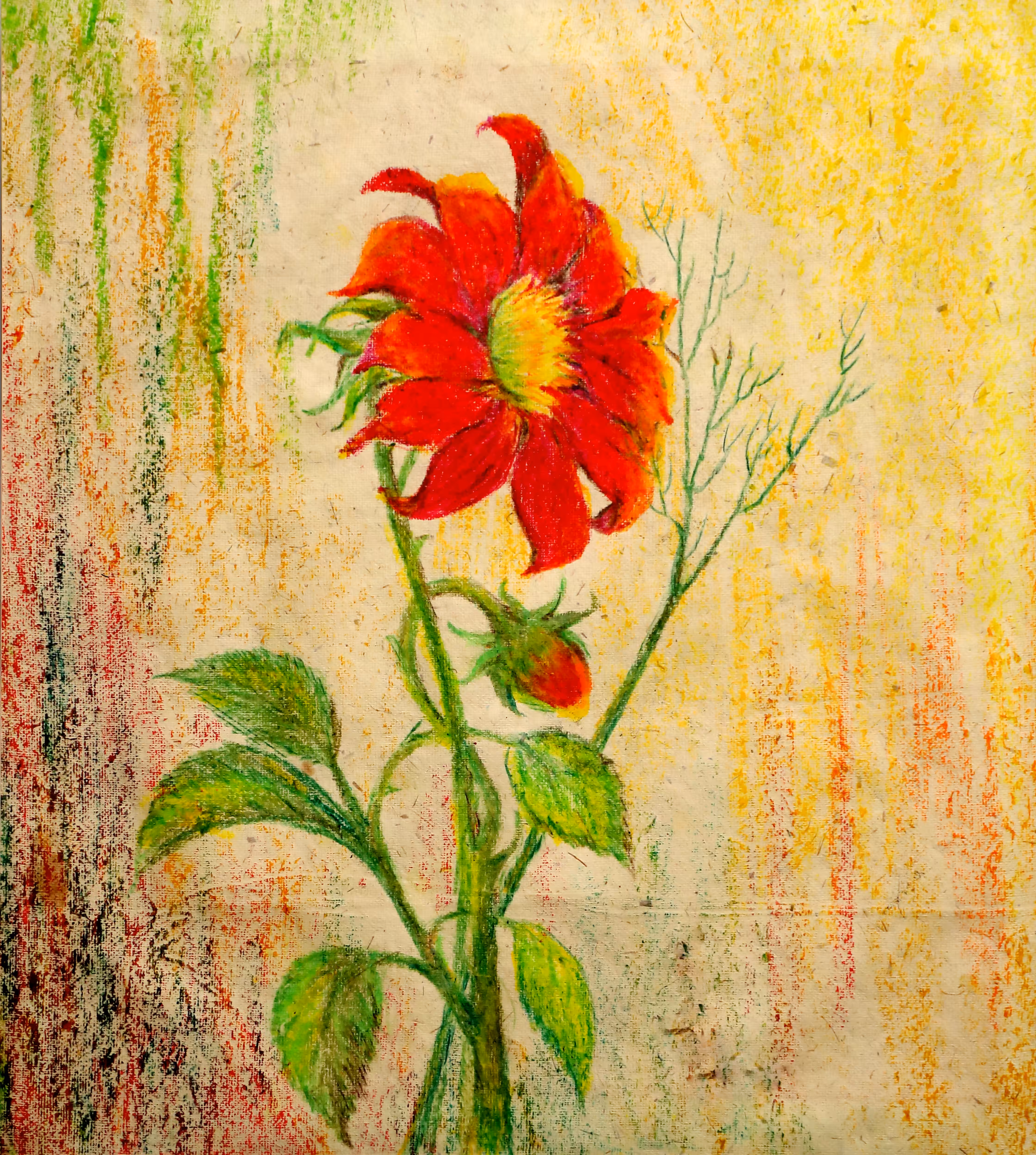 Red Dahlia Flower
