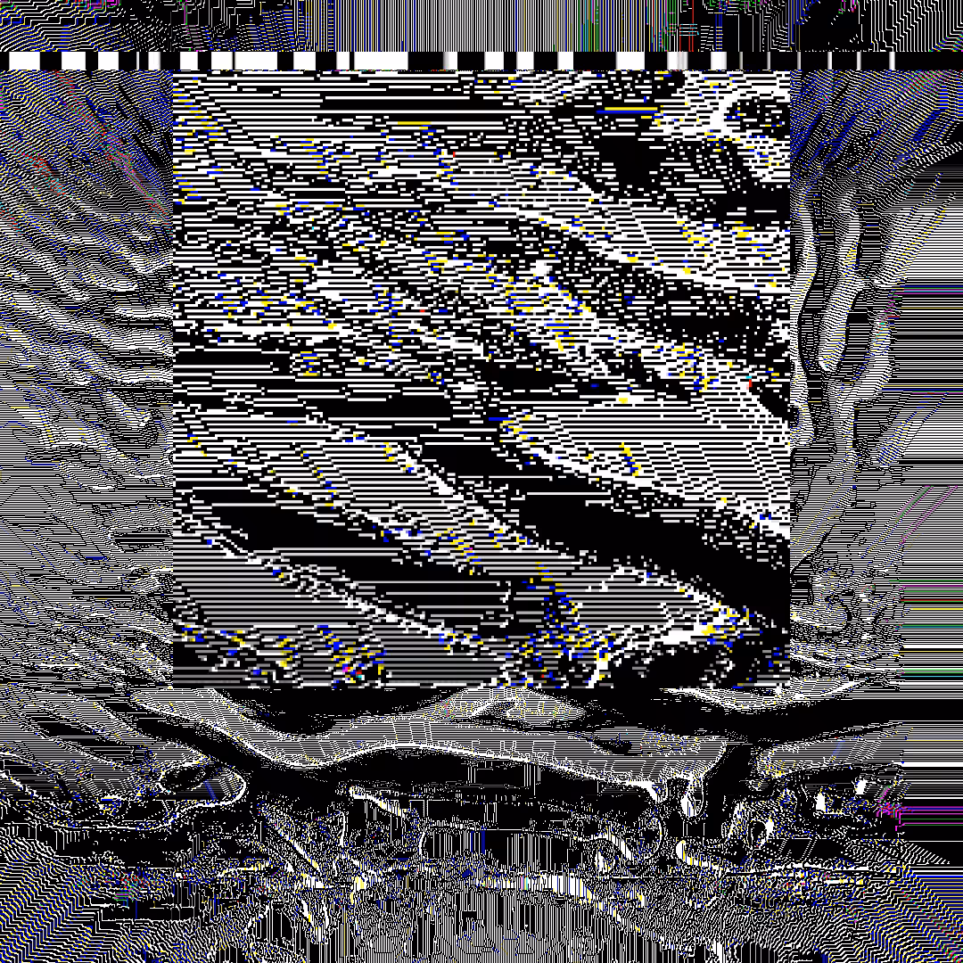 nearest neighbor - genesis  #96