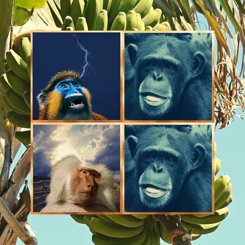 Banana legends #1