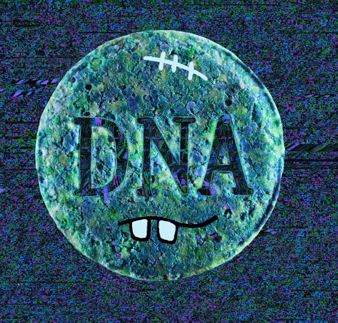 DNA -from xtc collection 2021