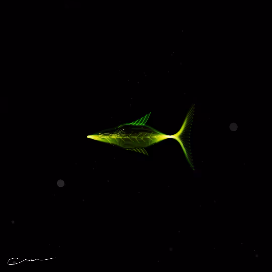 SoulFish #304