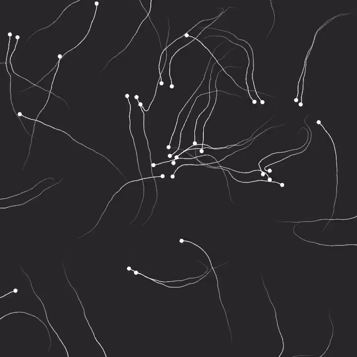 DoodleDeProgramming_20250821