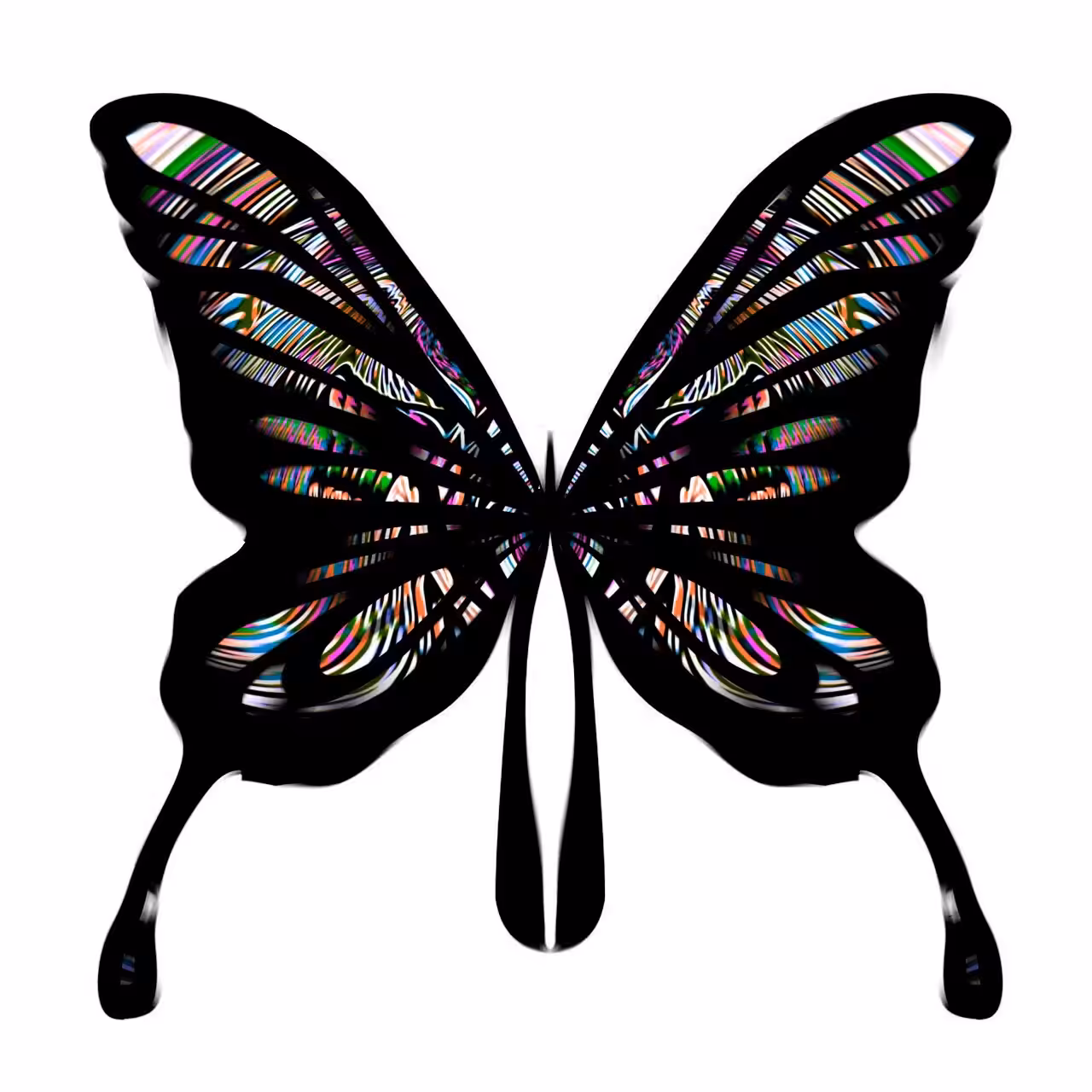 Look at me Butterfly #11 